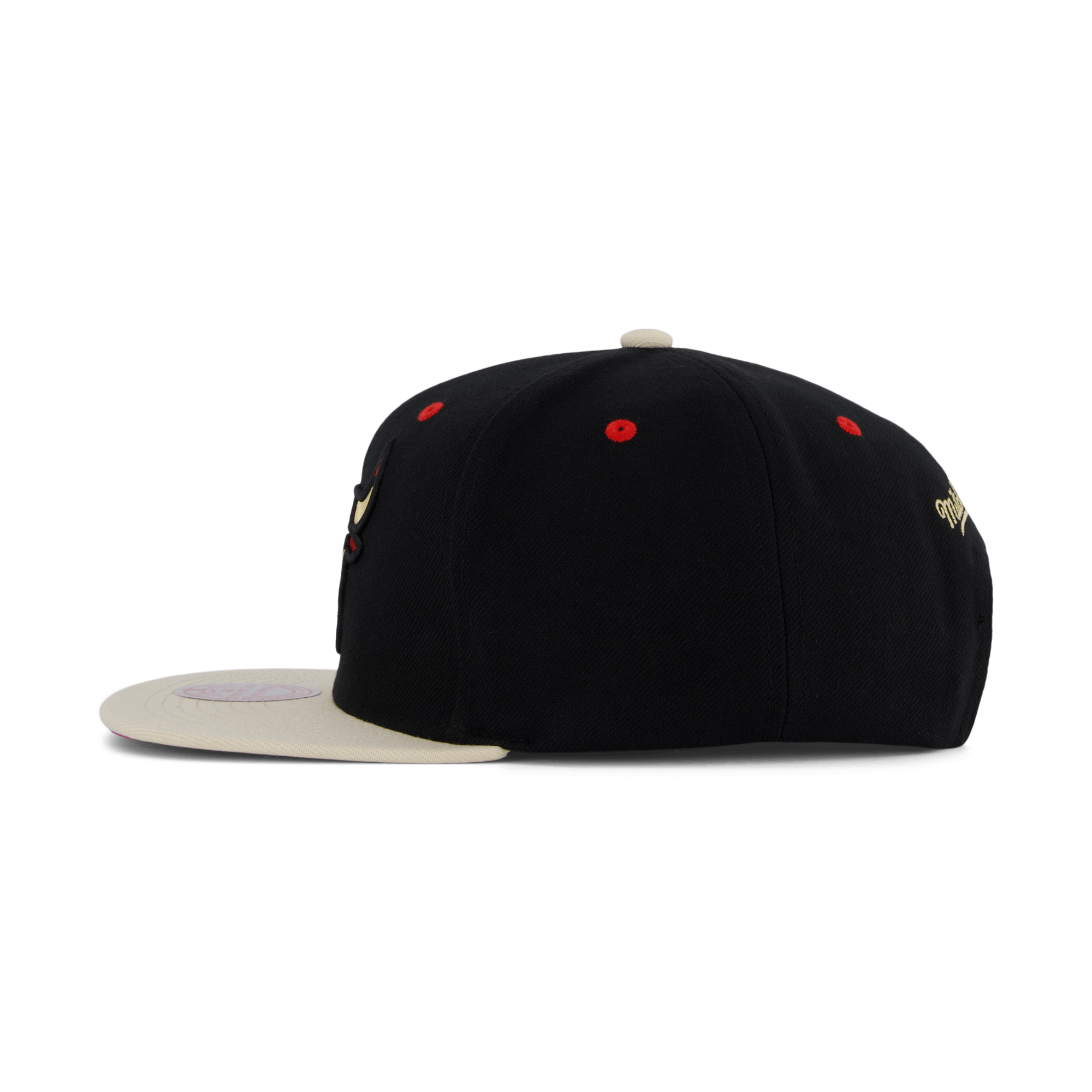 Bulls Pin Drop Snapback