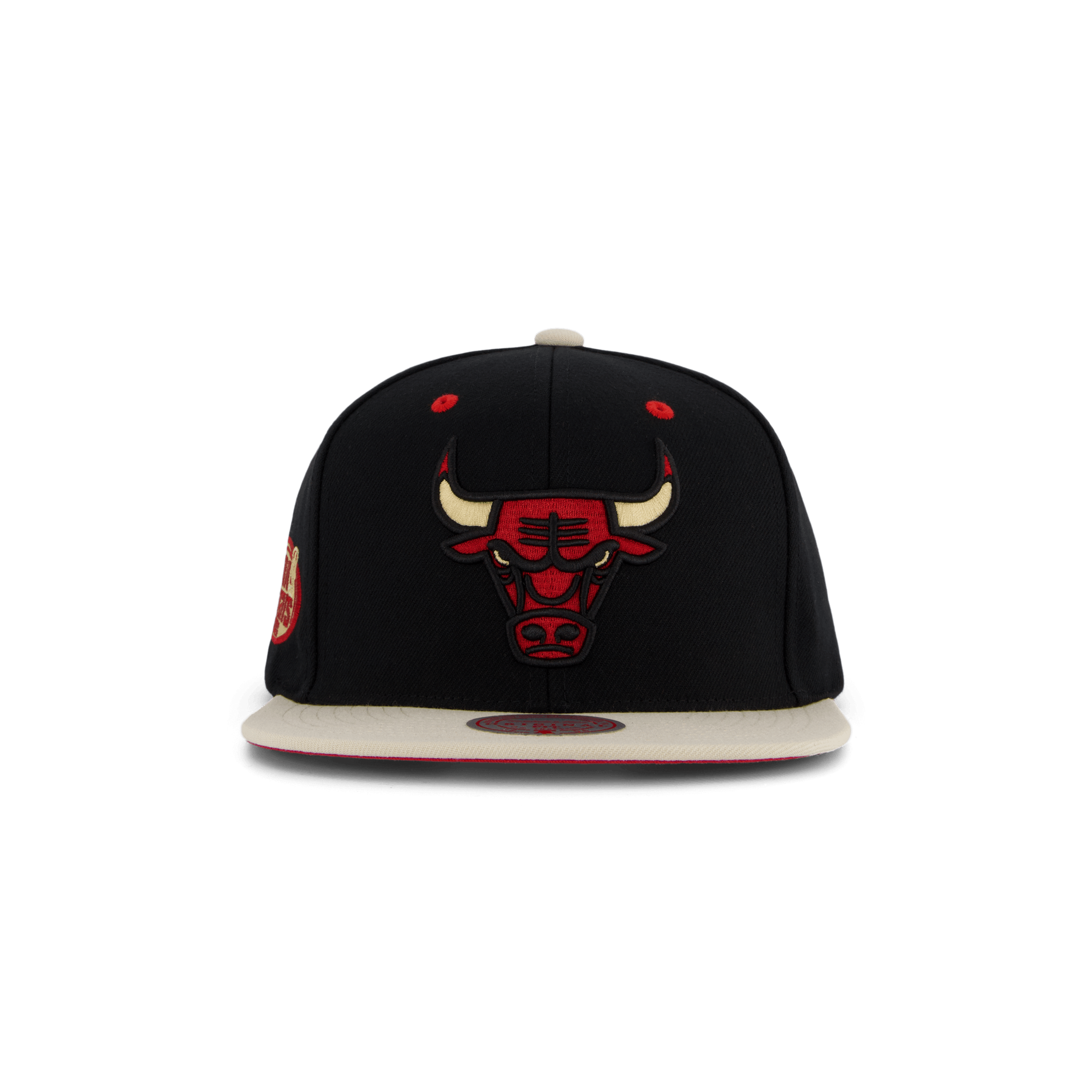 Bulls Pin Drop Snapback