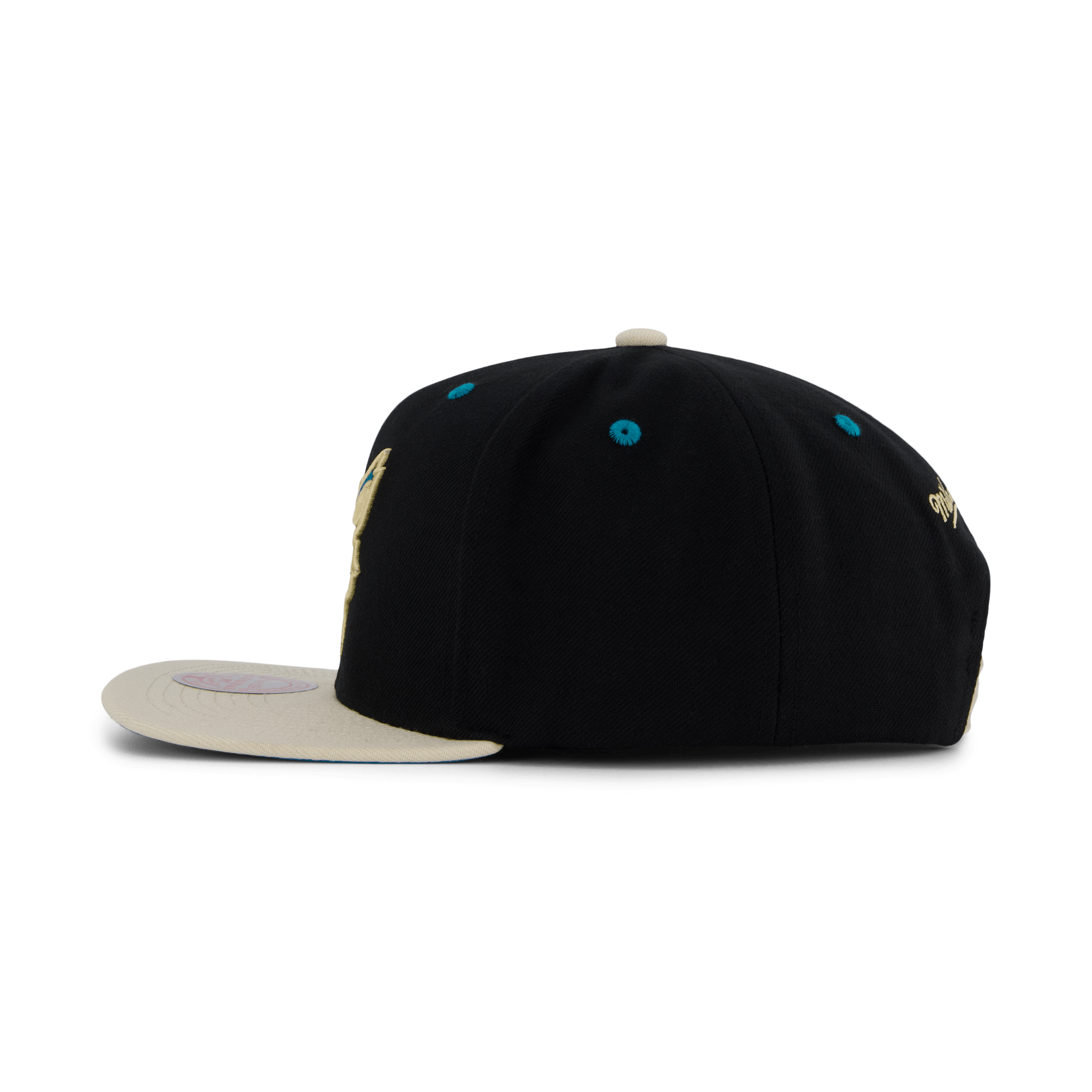 Hornets Pin Drop Snapback