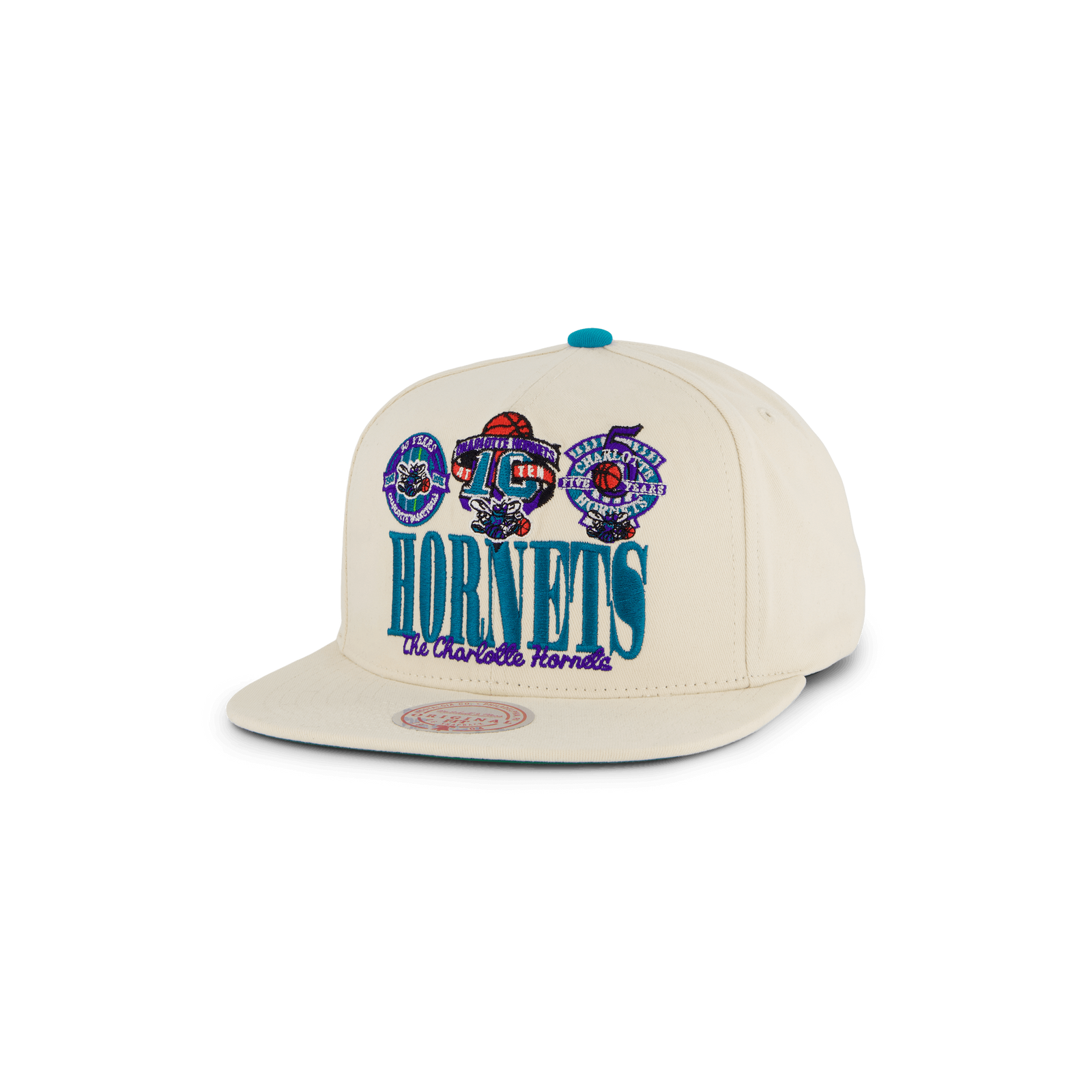 Hornets Reframe Retro Snapback HWC