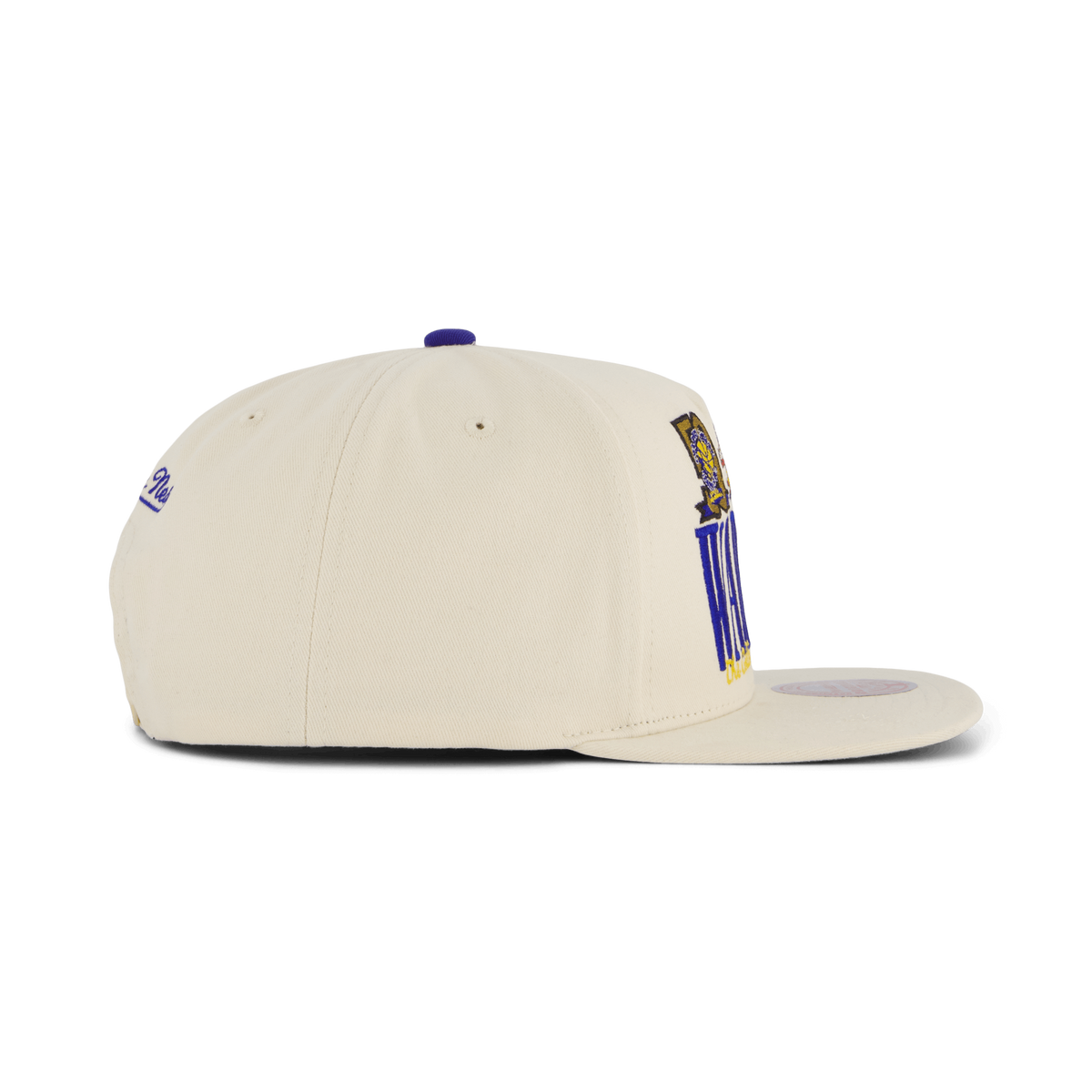 Warriors Reframe Retro Snapback HWC