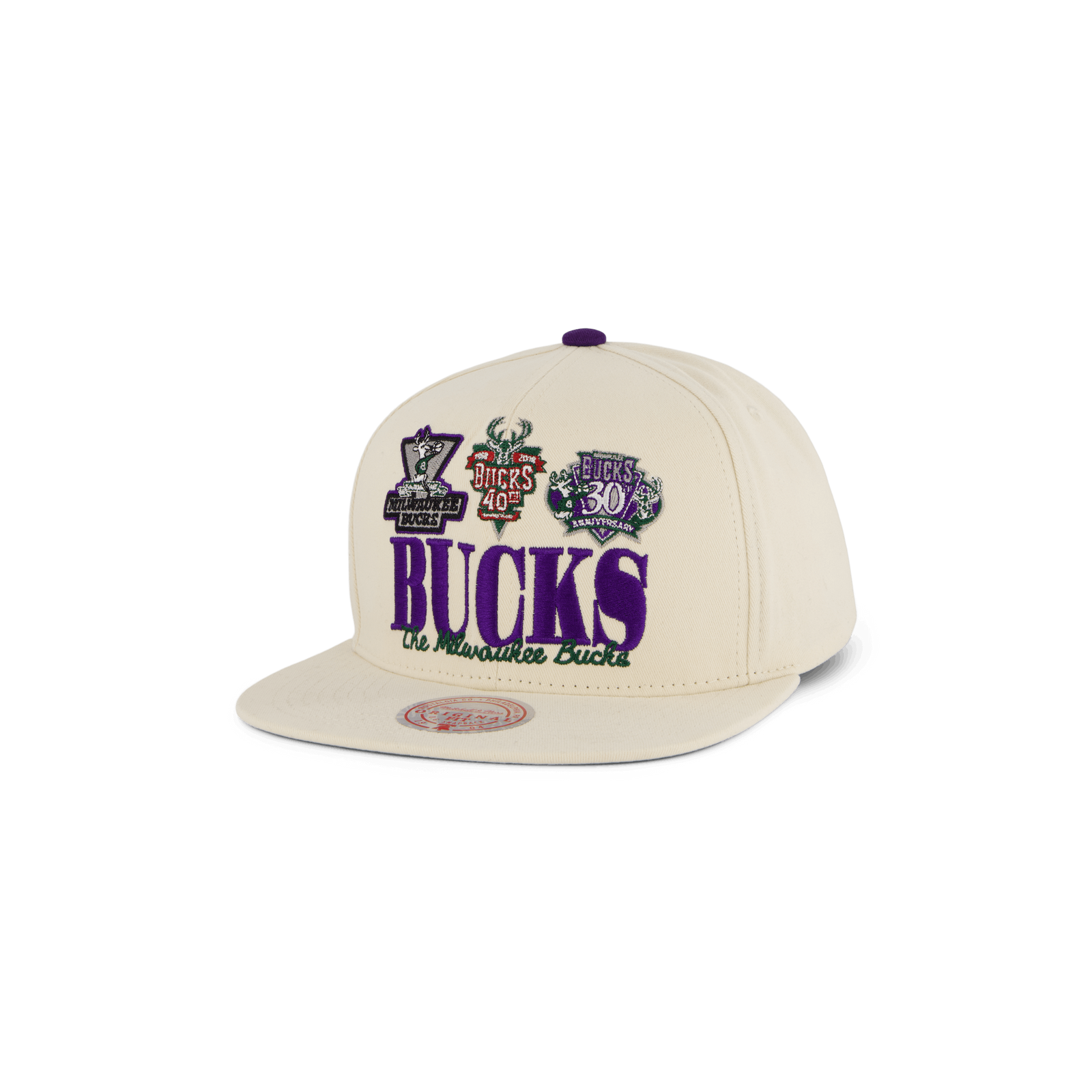 Bucks Reframe Retro Snapback HWC