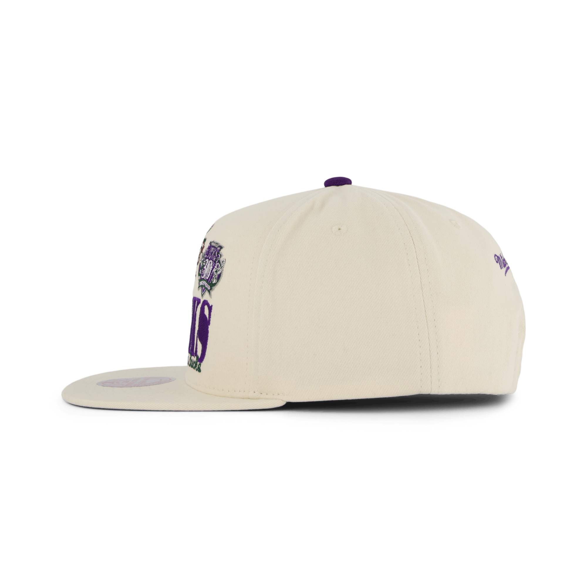 Bucks Reframe Retro Snapback HWC