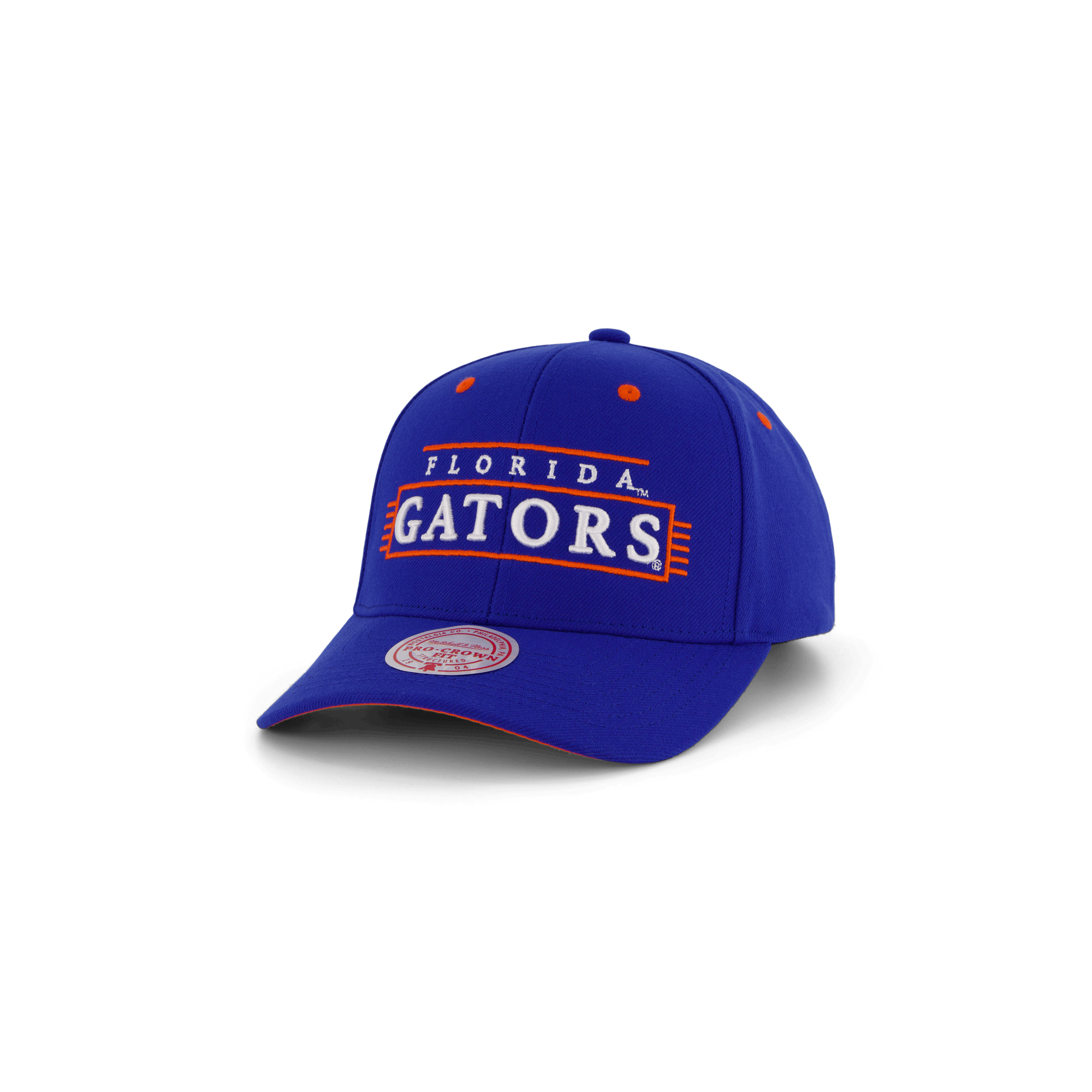 Gators Team Lofi Pro Snapback