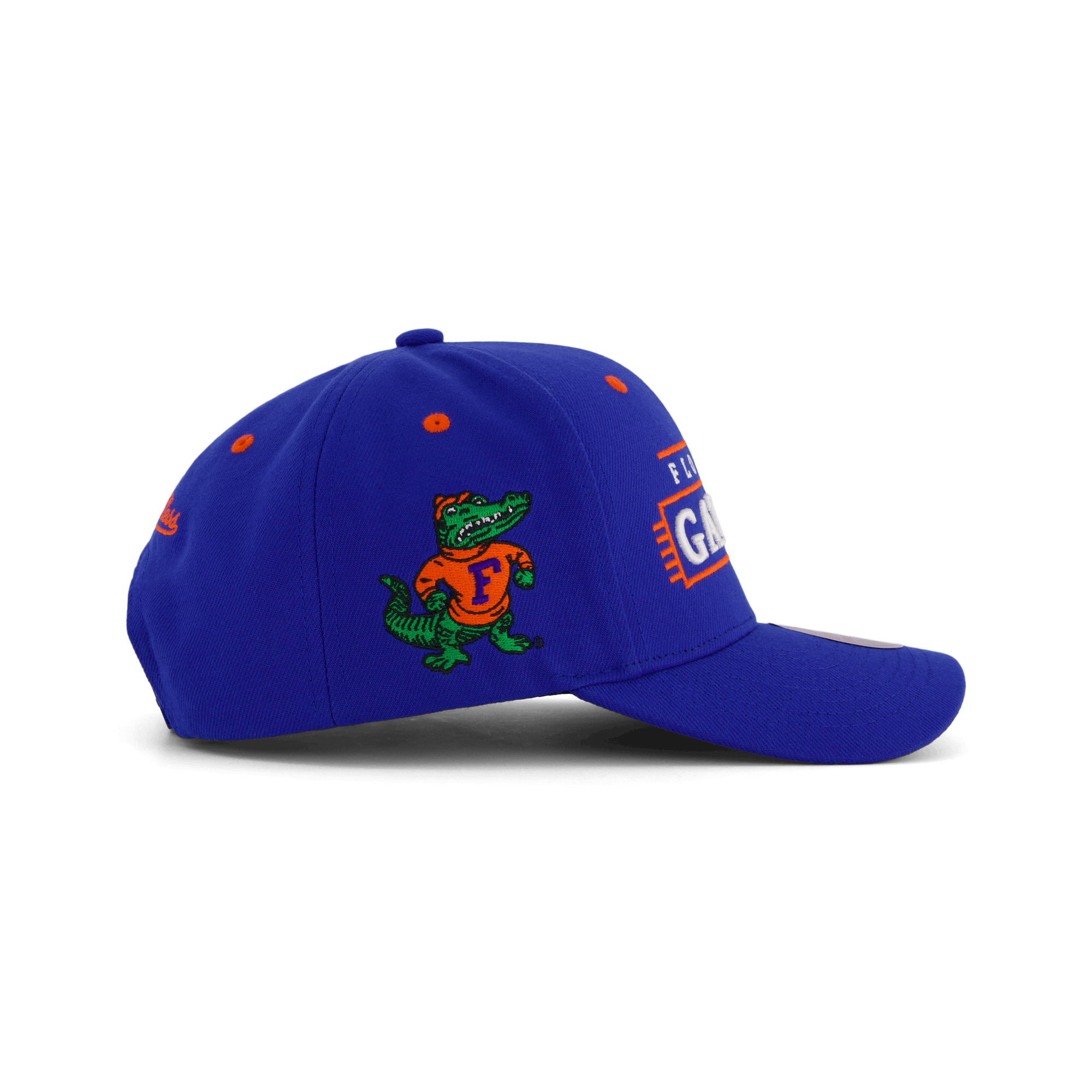 Gators Team Lofi Pro Snapback