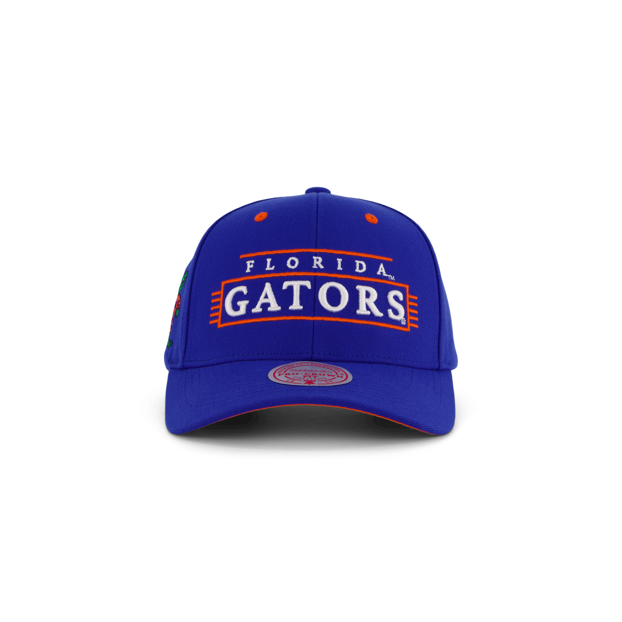 Gators Team Lofi Pro Snapback