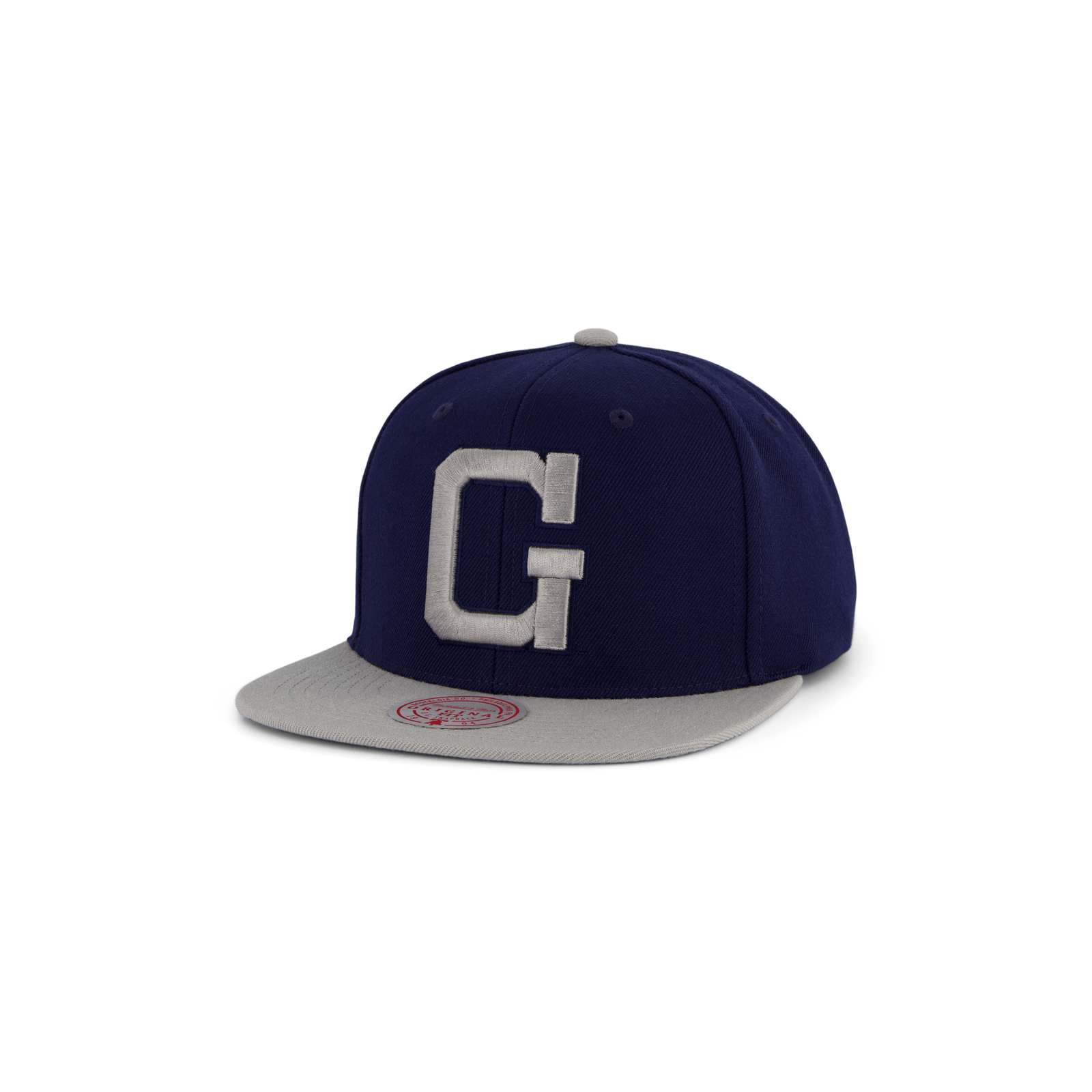 Hoyas Team 2 Tone 2.0 Snapback