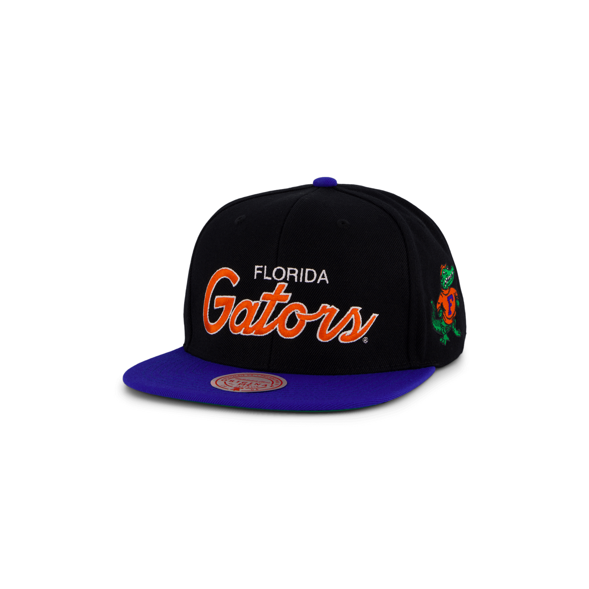 Gators Team Script 2.0 Snapback