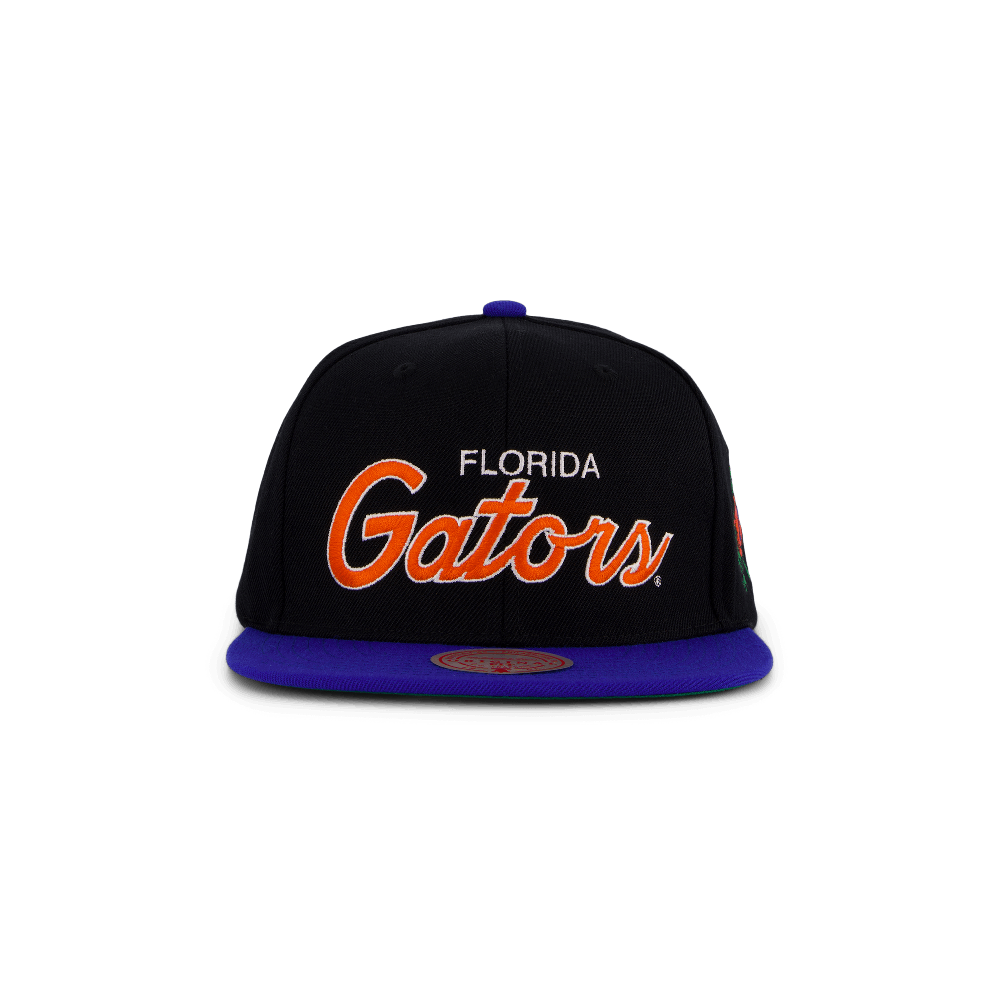 Gators Team Script 2.0 Snapback