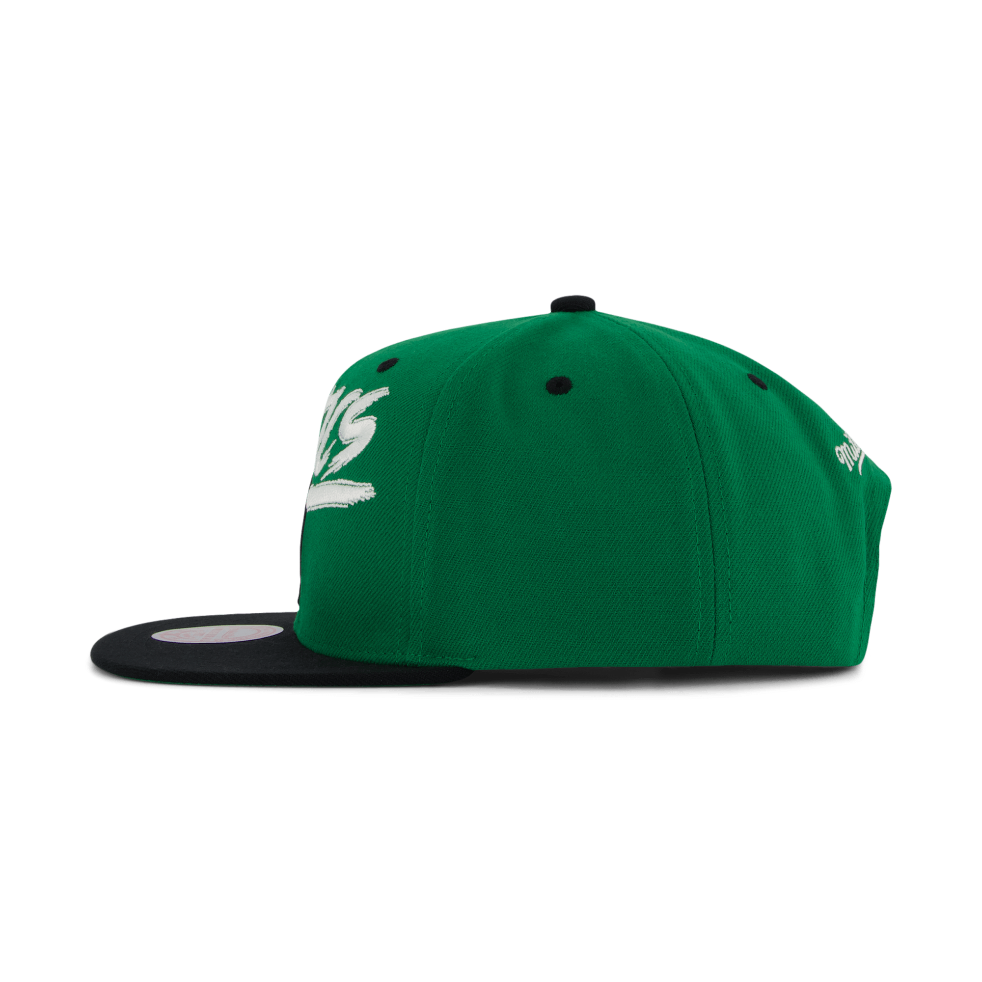 Celtics Transcript Snapback