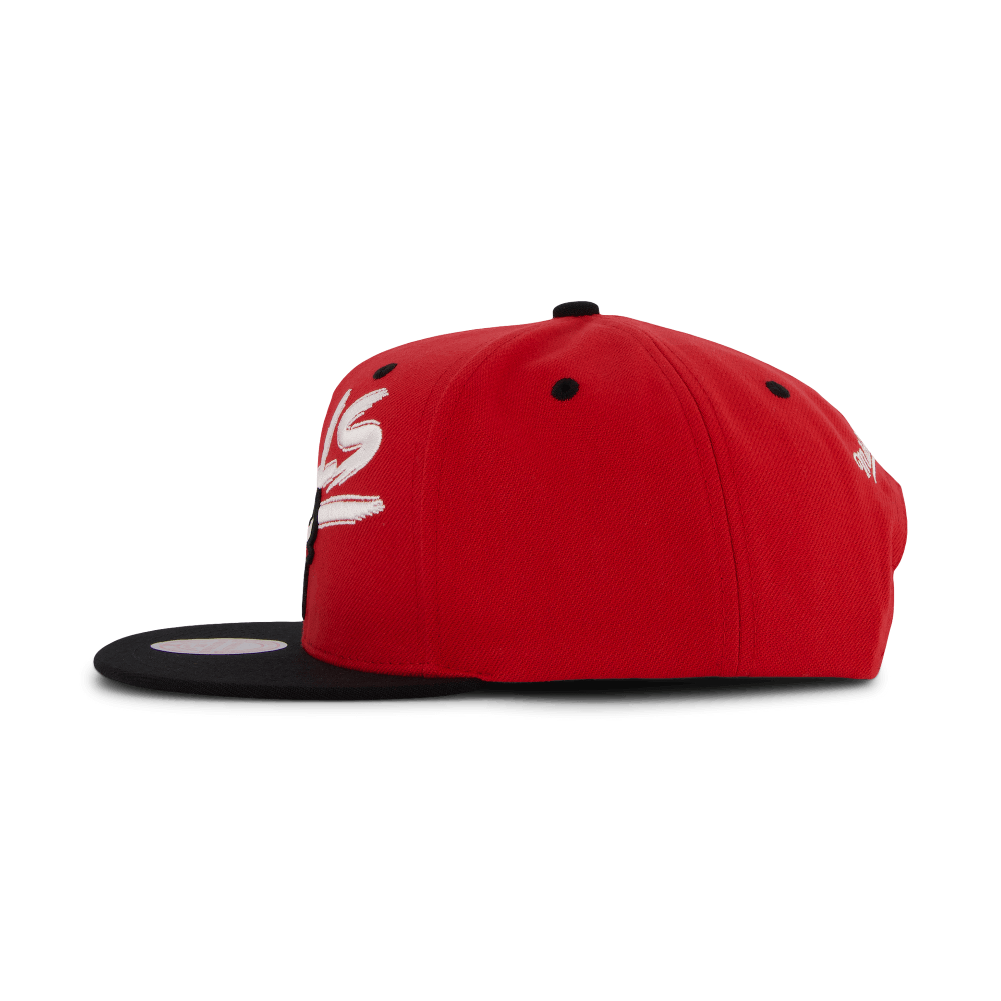 Bulls Transcript Snapback