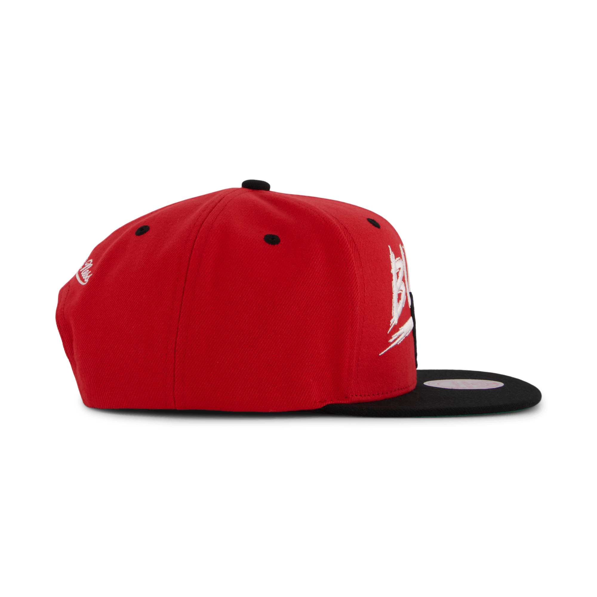 Bulls Transcript Snapback