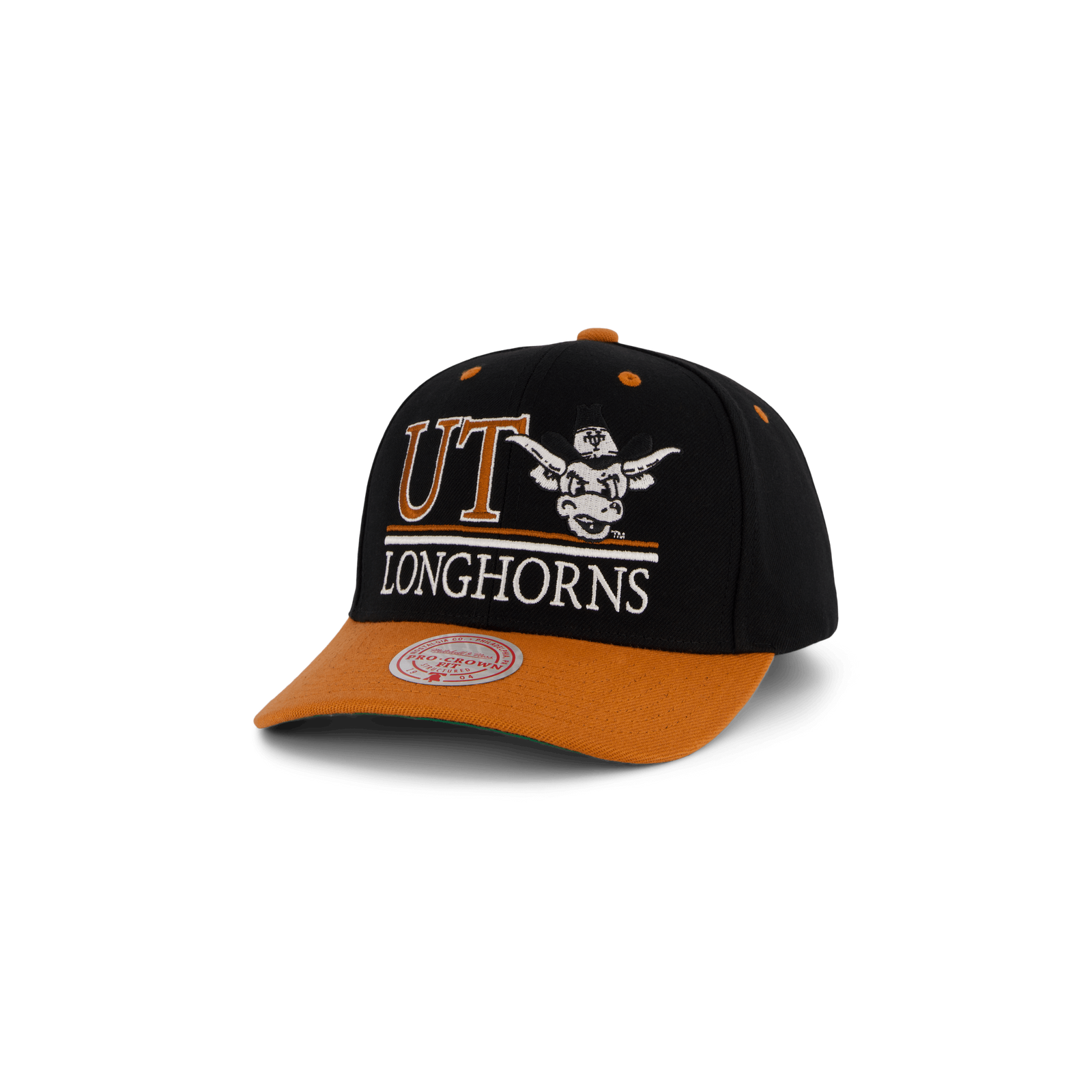 Longhorns GPA Snapback