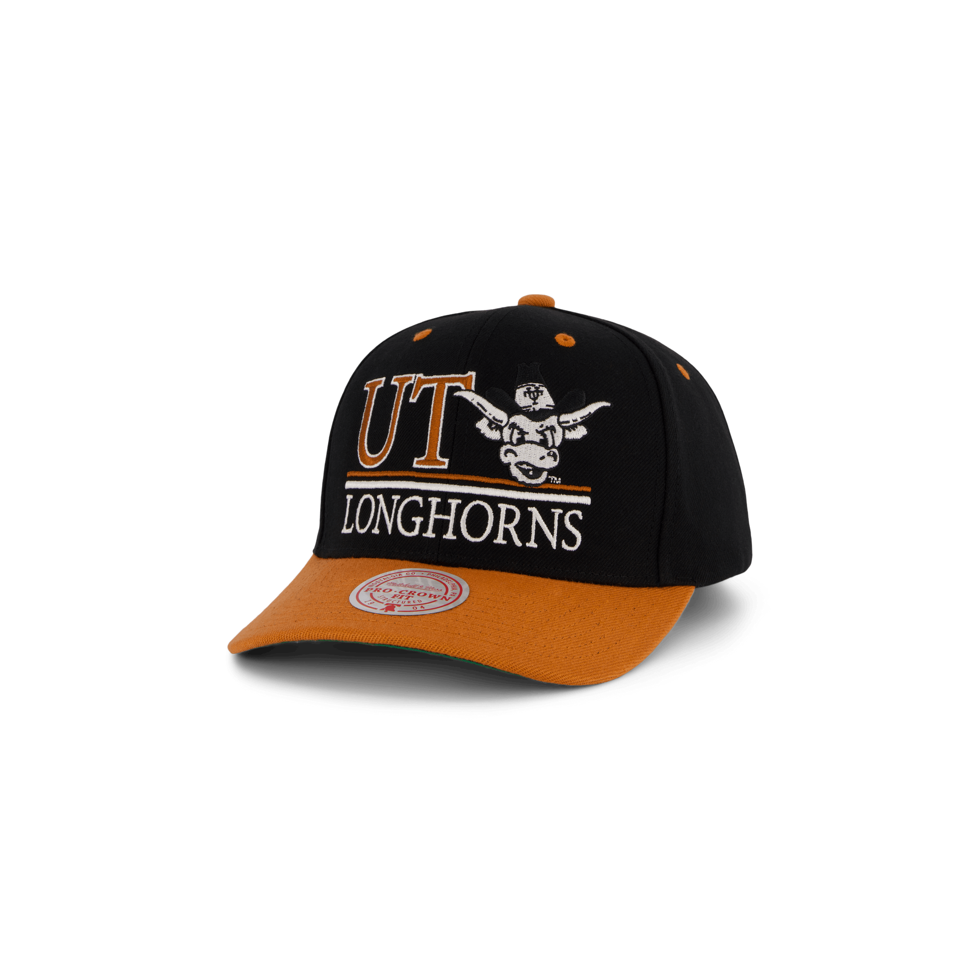 Longhorns GPA Snapback