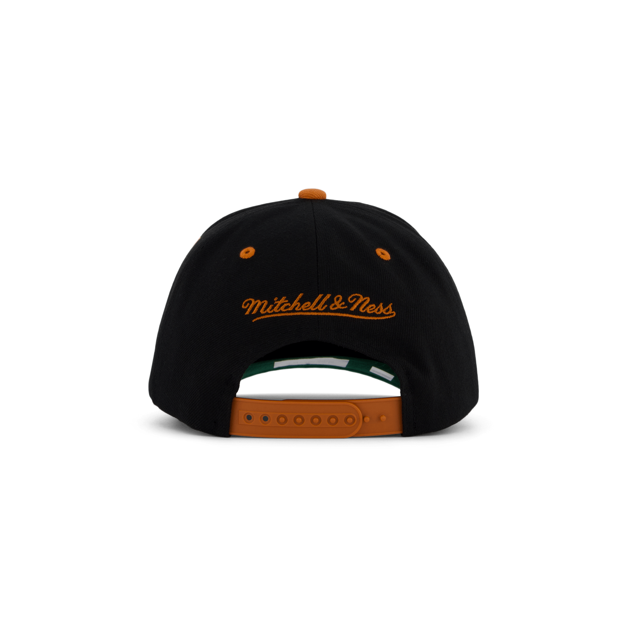 Longhorns GPA Snapback