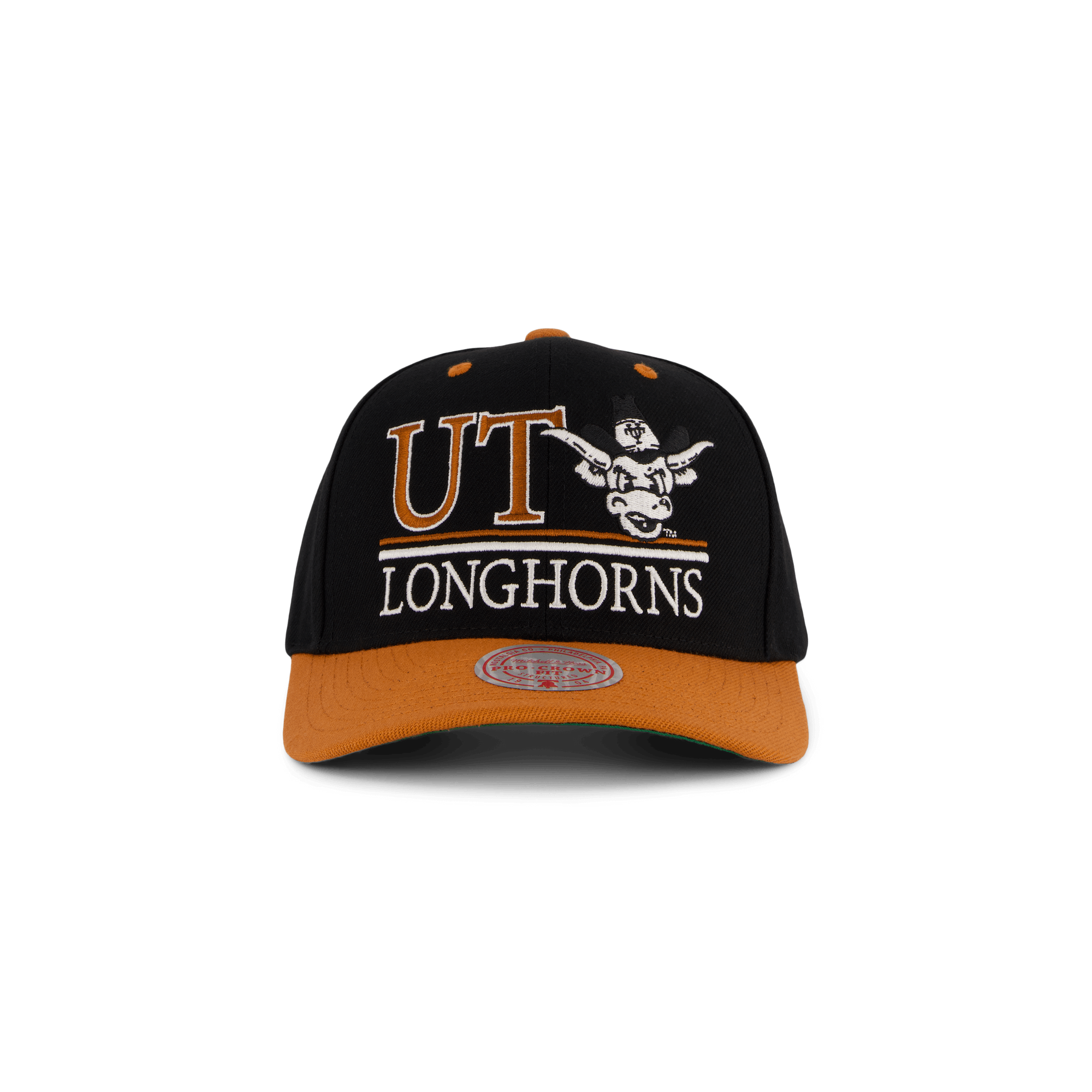 Longhorns GPA Snapback