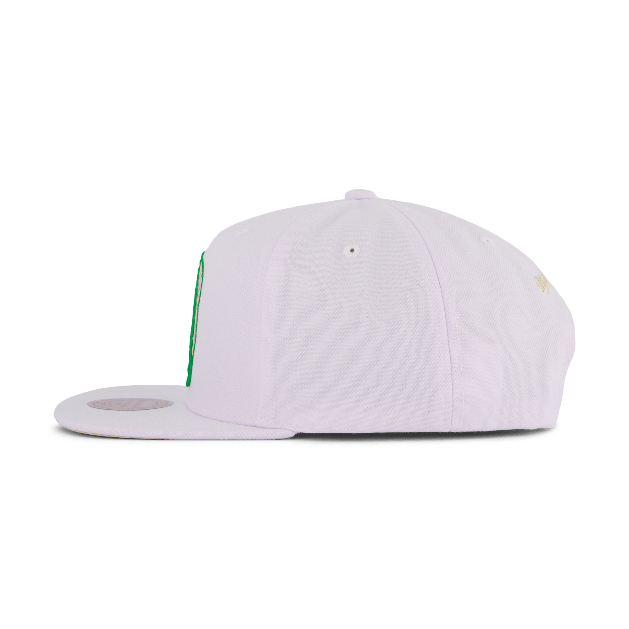 Celtics Winter Snapback