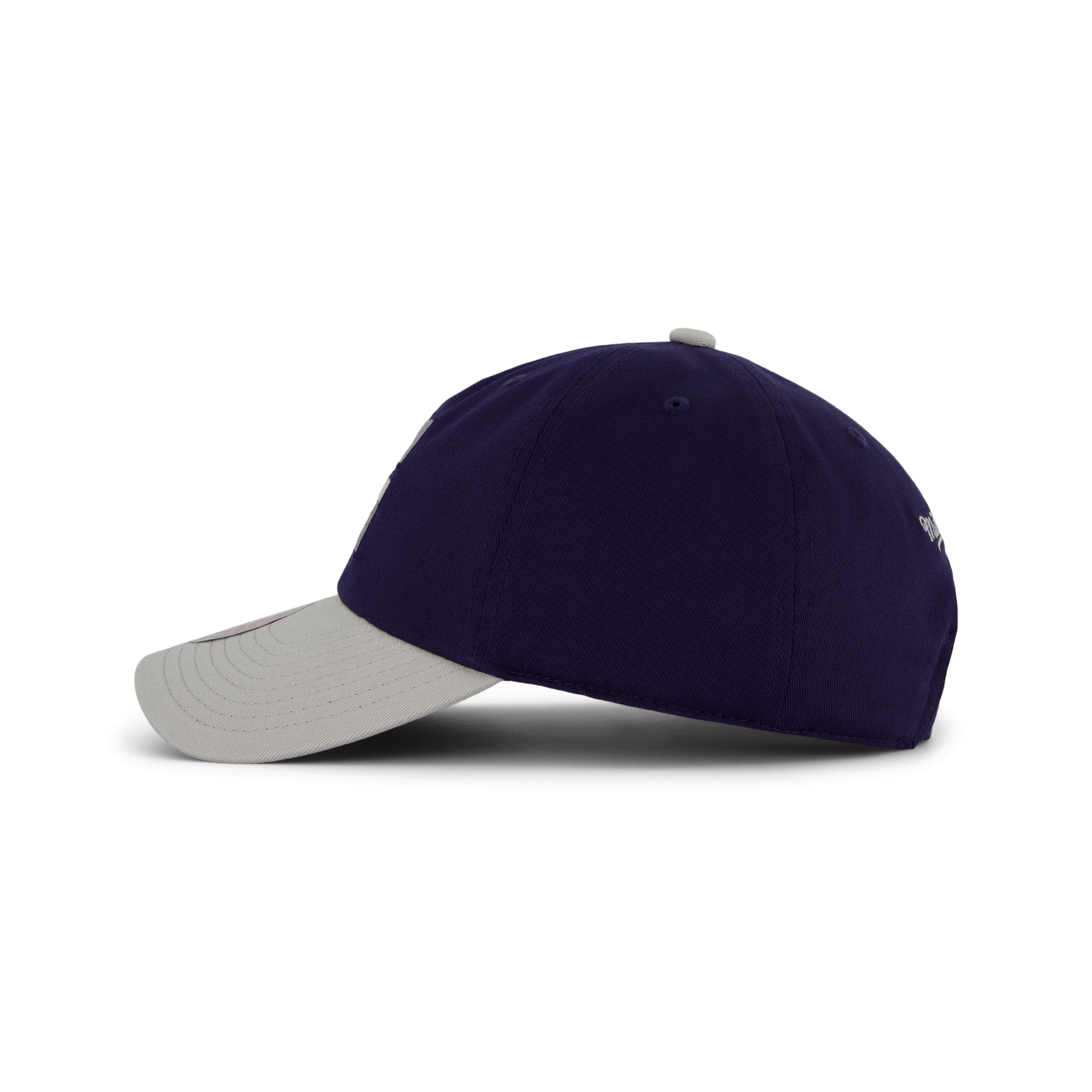 Hoyas Team 2 Tone 2.0 Dad Strapback