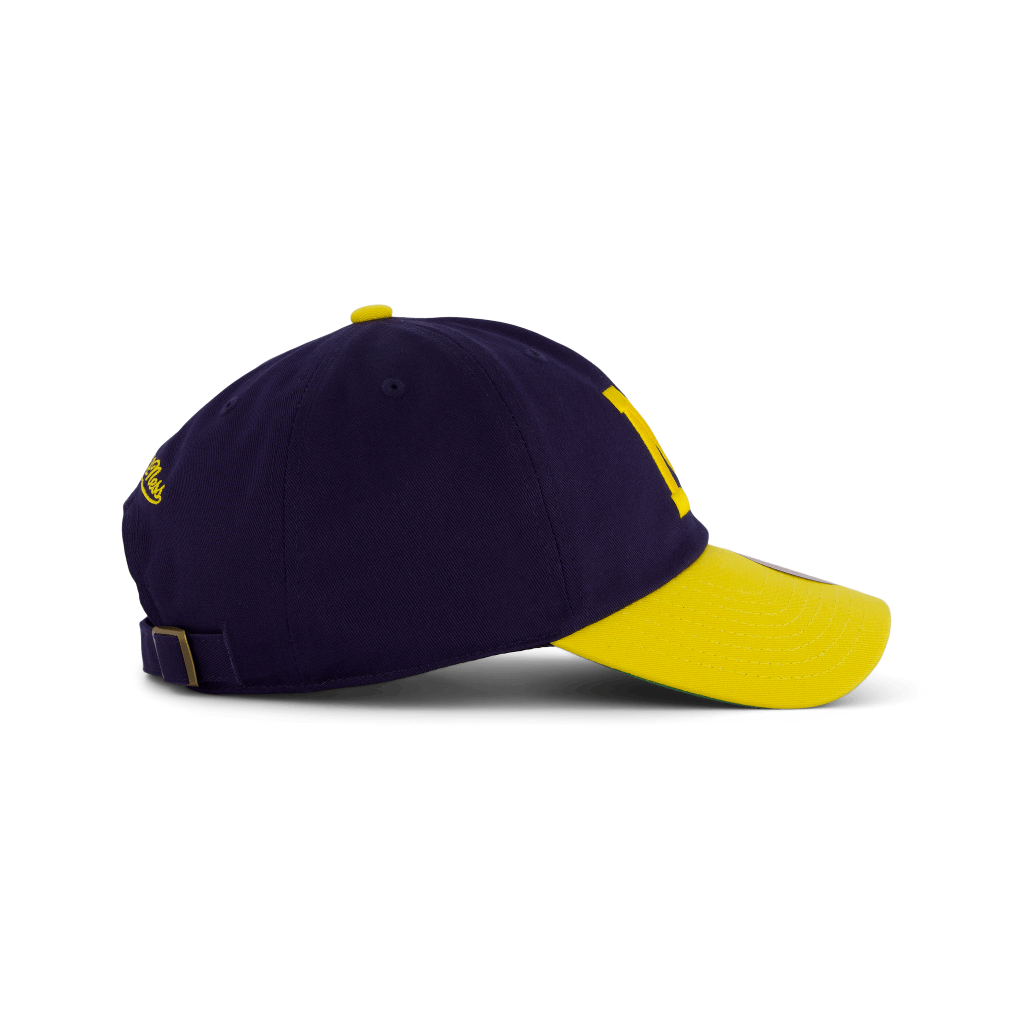 Wolwerines Team 2 Tone 2.0 Dad Strapback