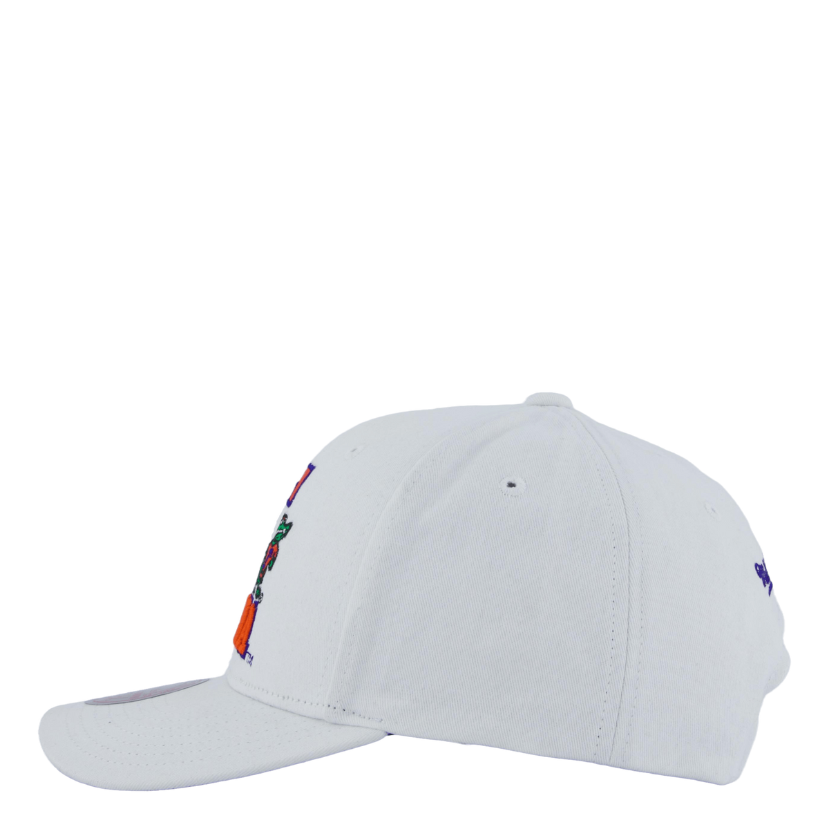 Gators All In Pro Snapback