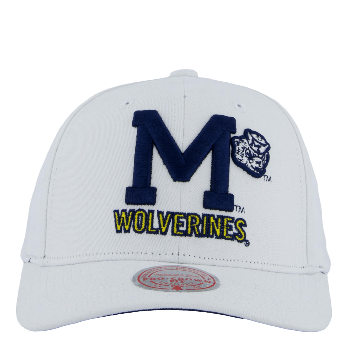 Wolverines All In Pro Snapback