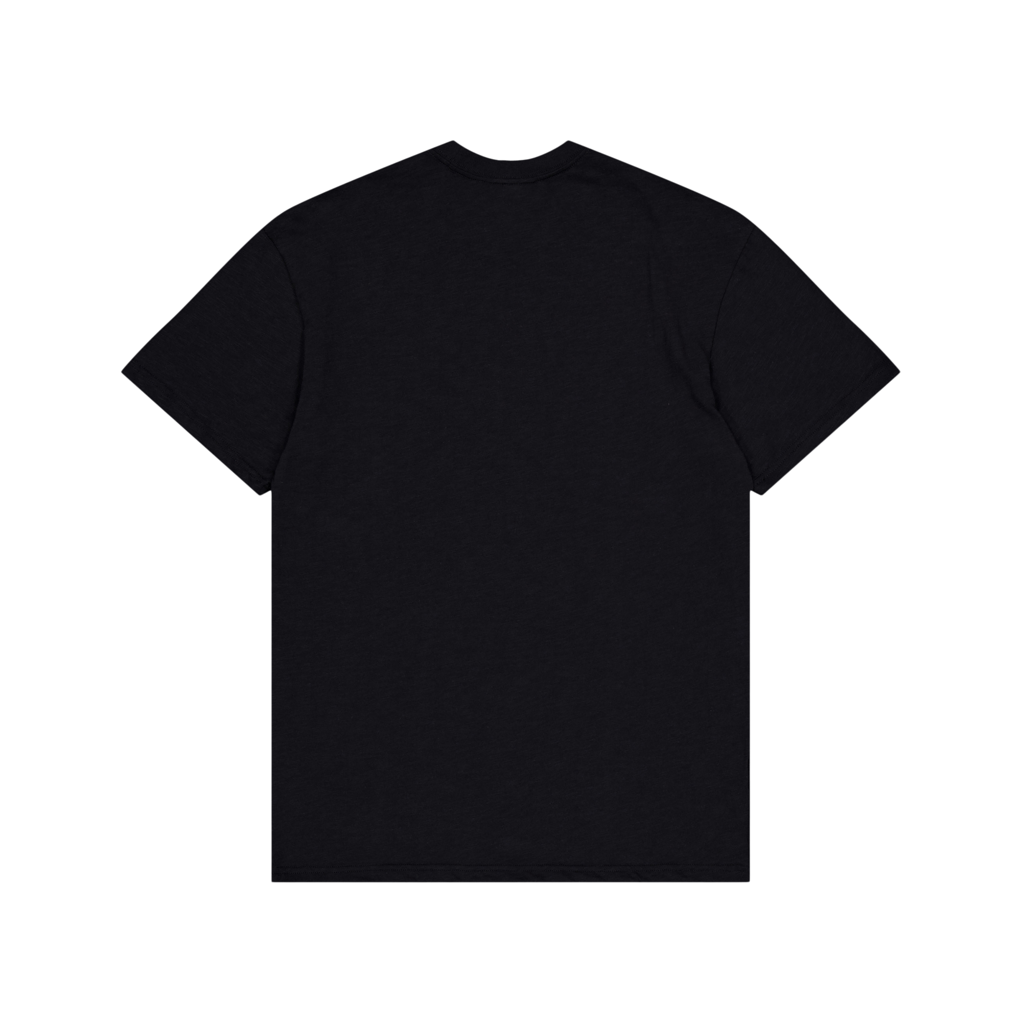 Legendary Slub Ss Tee Black