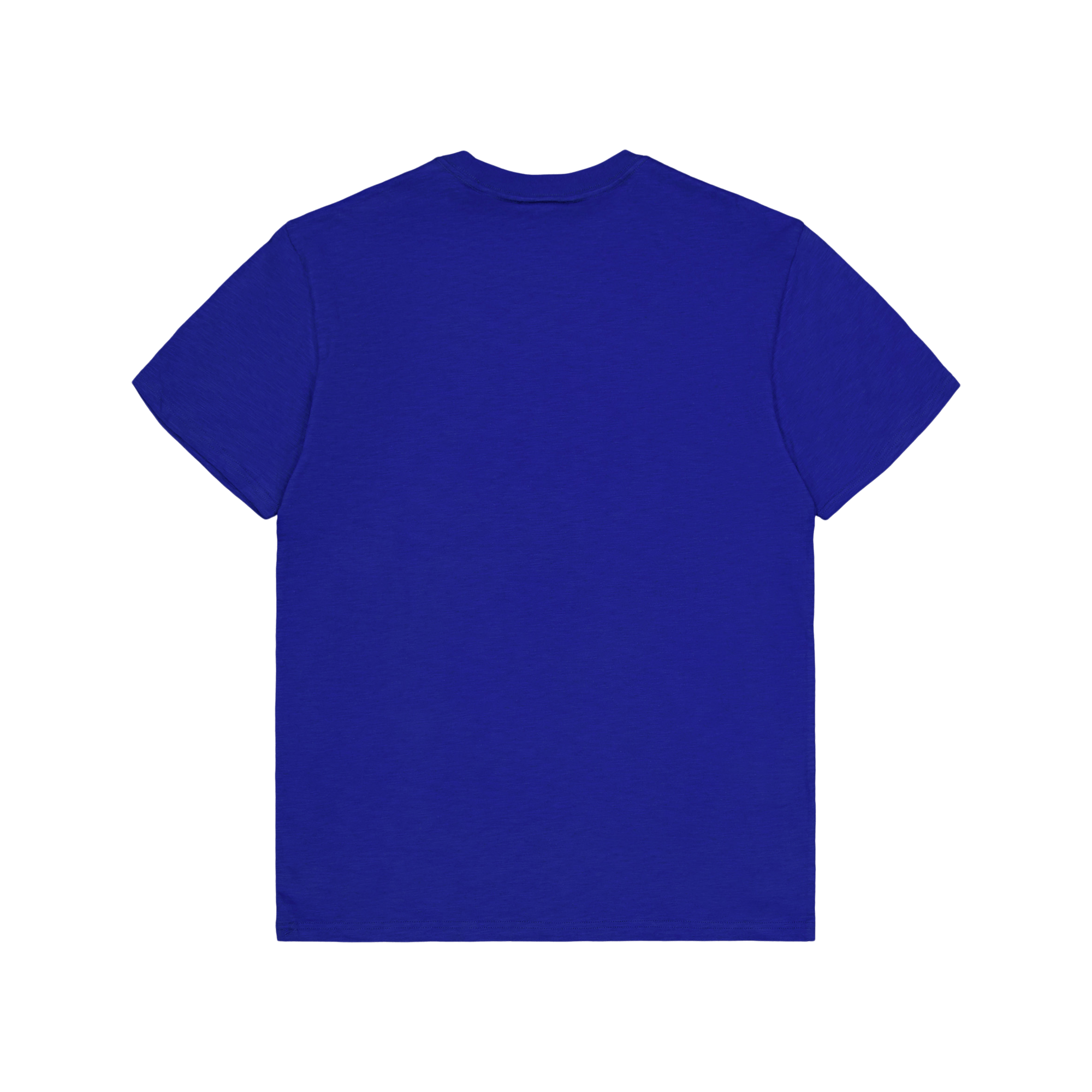 Legendary Slub Ss Tee Royal