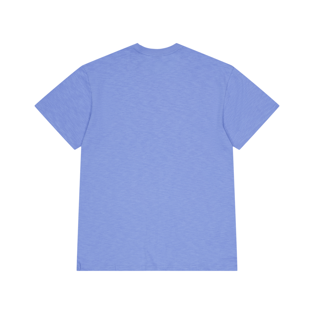Legendary Slub Ss Tee Light Blue