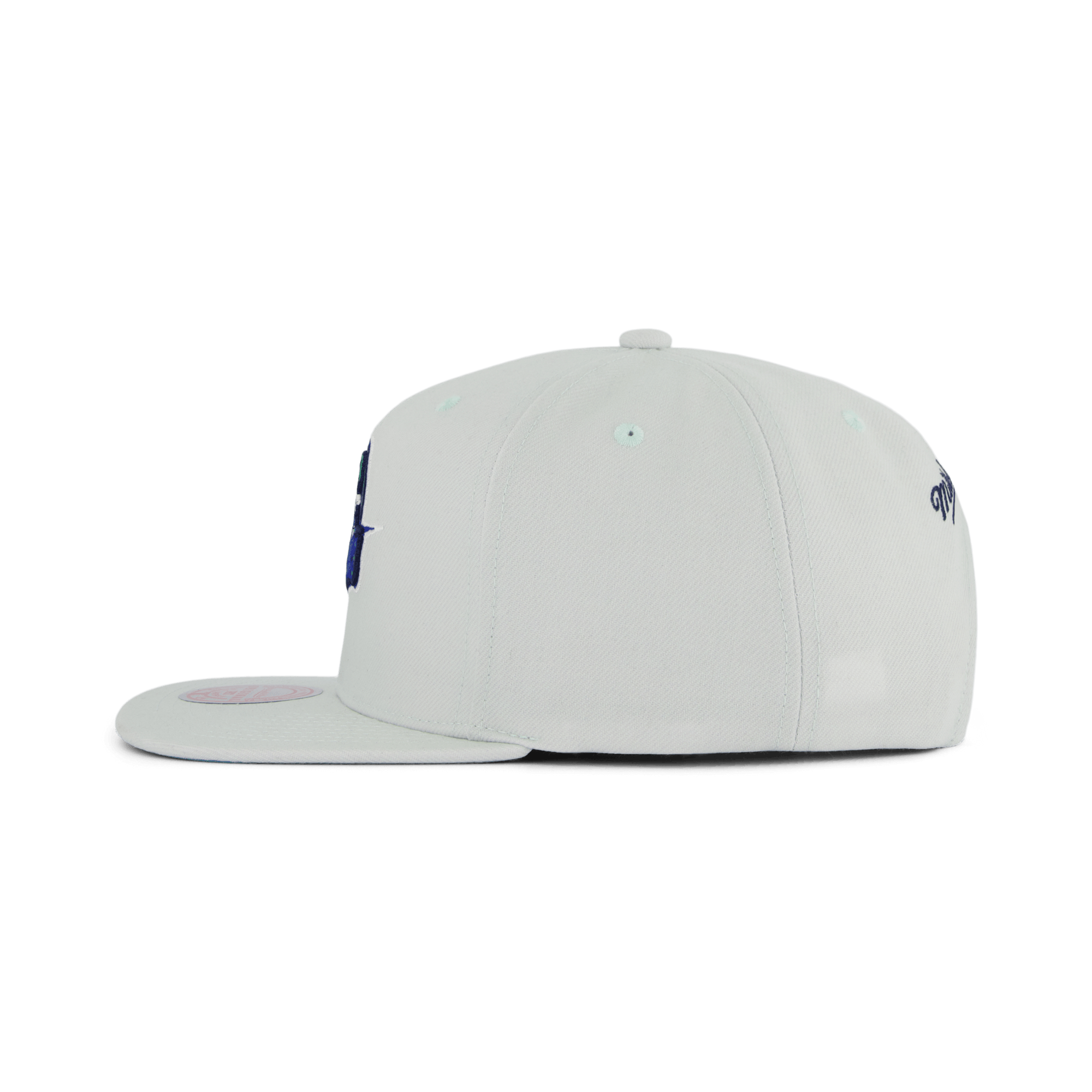 Warriors So Fresh Snapback HWC