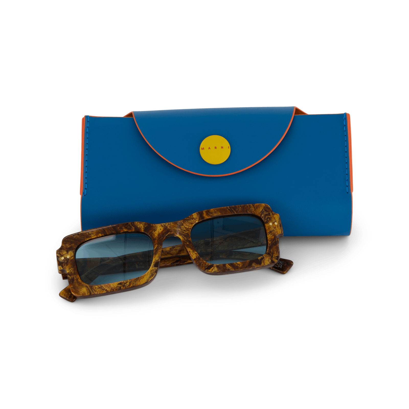 Lake Vostok Radica 51 Radica