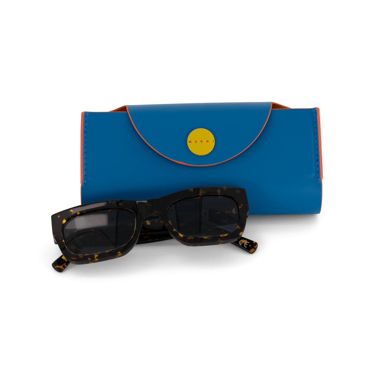 Kawasan Falls Maculato 52 Maculato