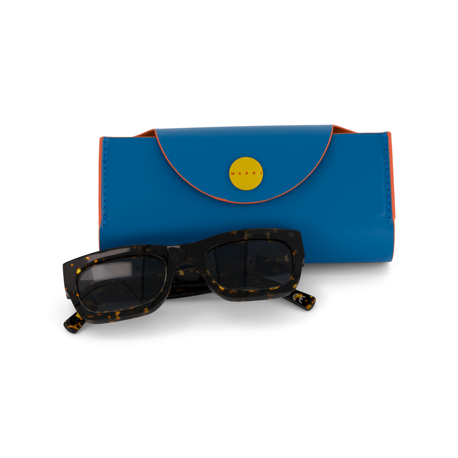 Kawasan Falls Maculato 52 Maculato