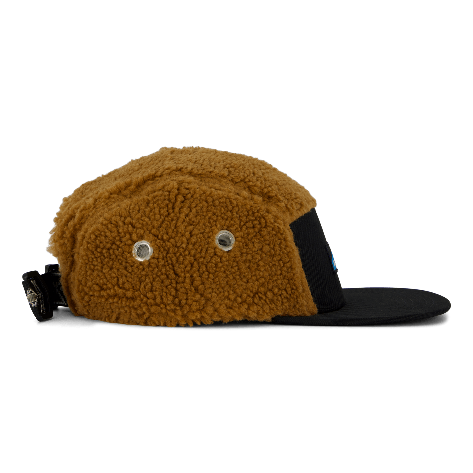 Fur Ball Camp Redwood