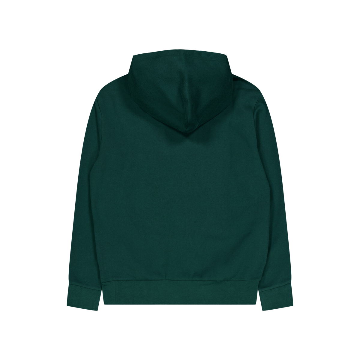 Polo Ralph Lauren Rl Fleece Polo Hoodie 004 Moss Agate
