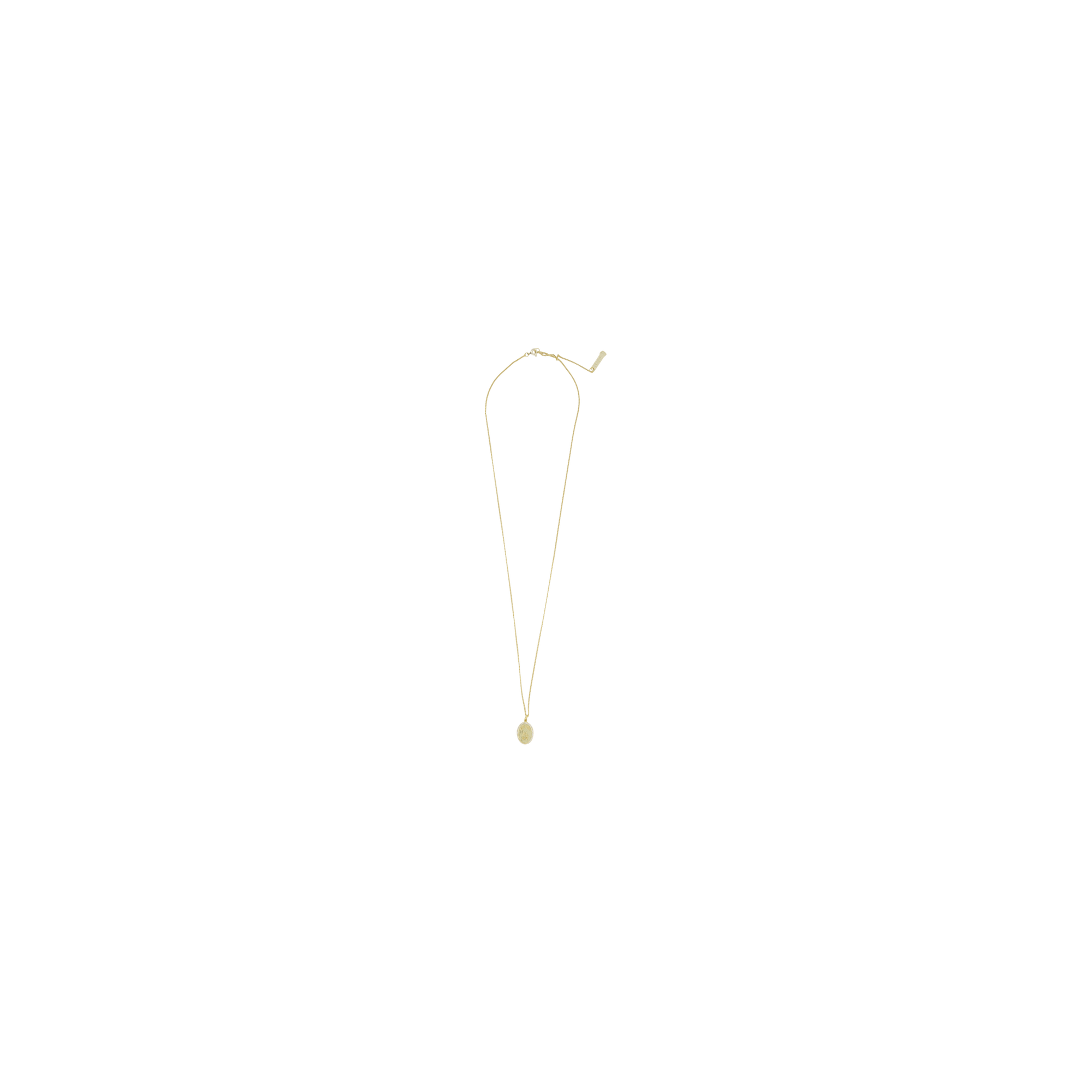 Chain Necklace With Fly Paved  Gold