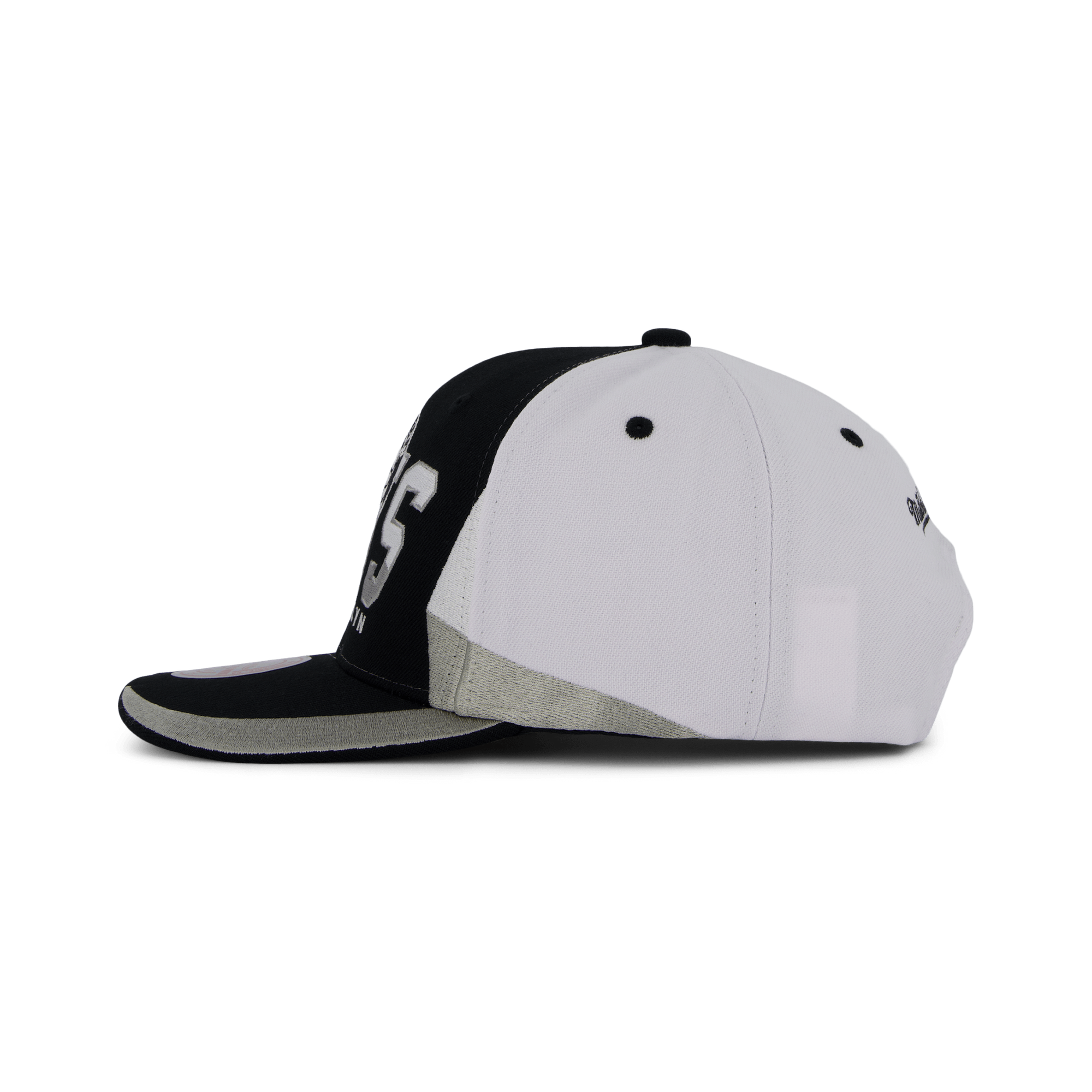 Nets Retrodome Pro Snapback