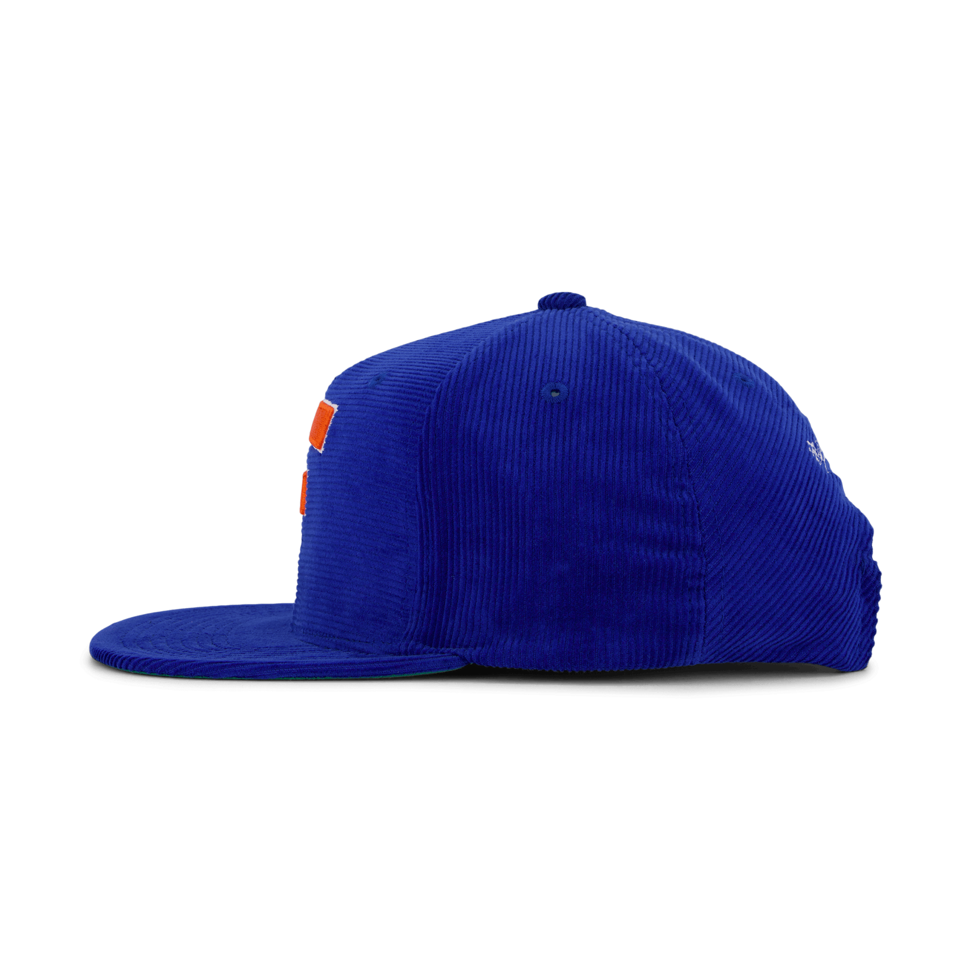 Gators All Directions Snapback