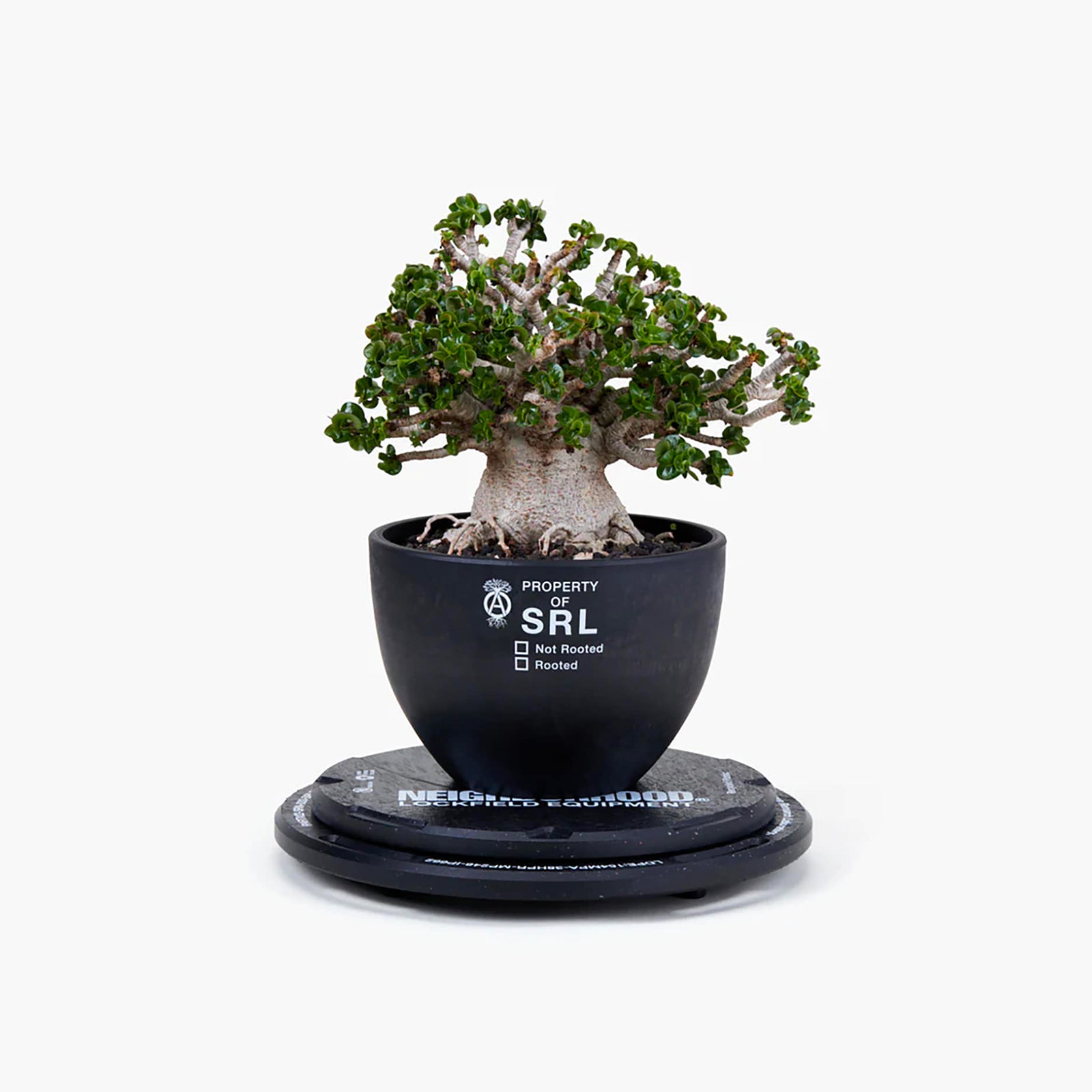 Nh X Lfe X Ballistics . Rotary Black