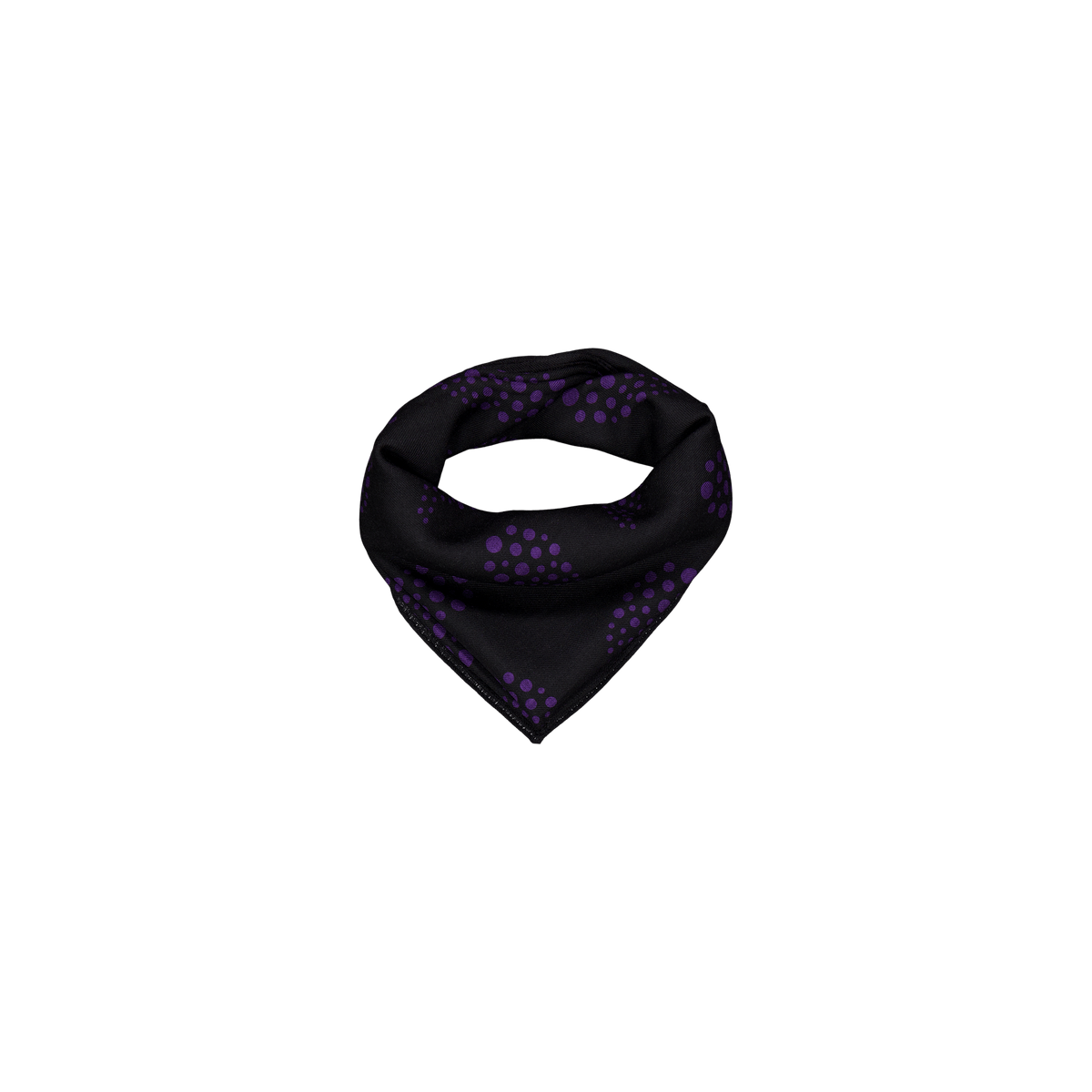 Scarf - W/s Twill / Paisley Pr C-black