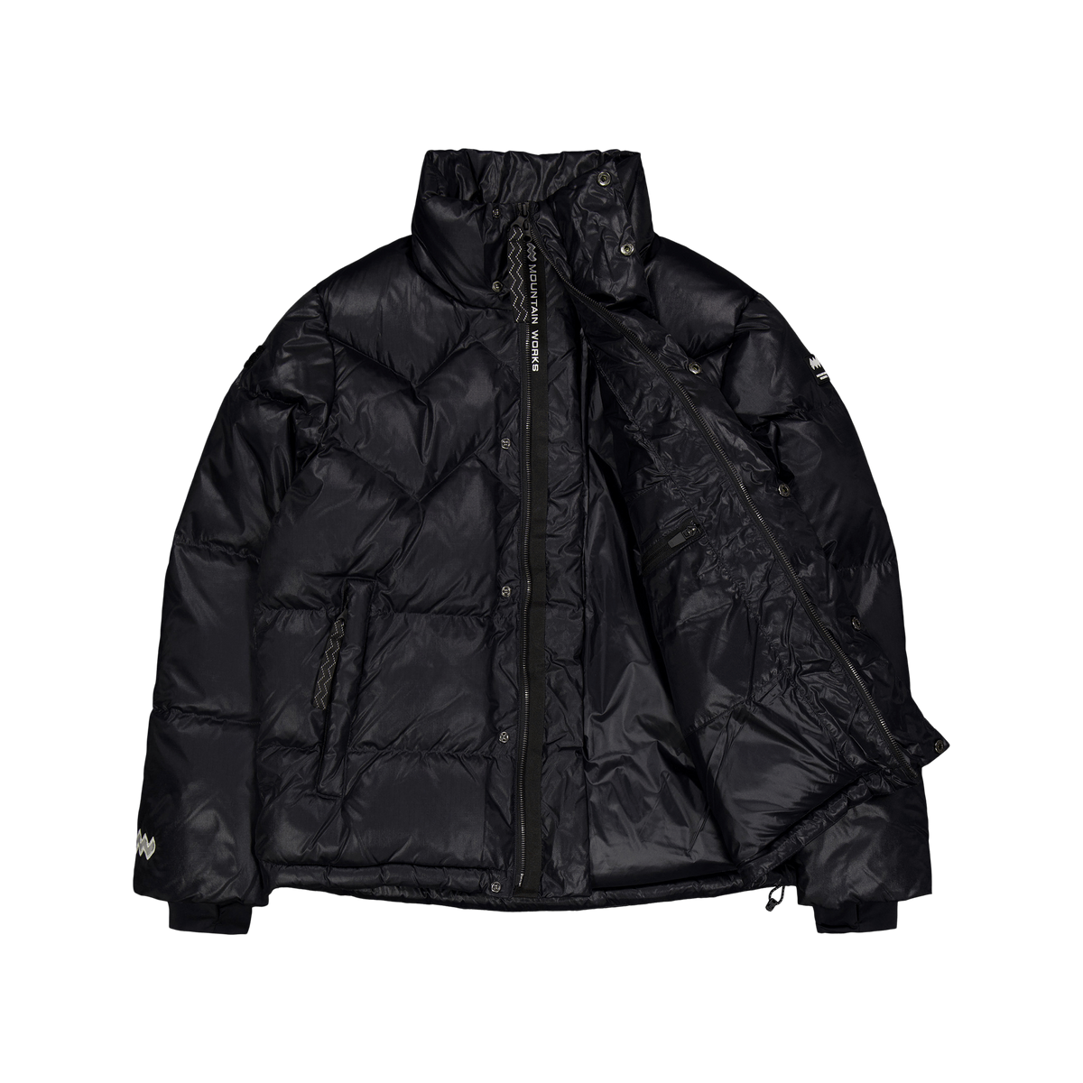 Paragon Down Parka