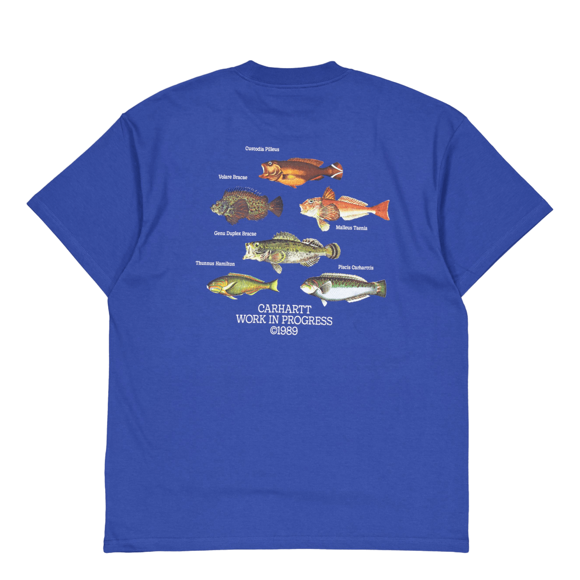 S/s Fish T-shirt Acapulco