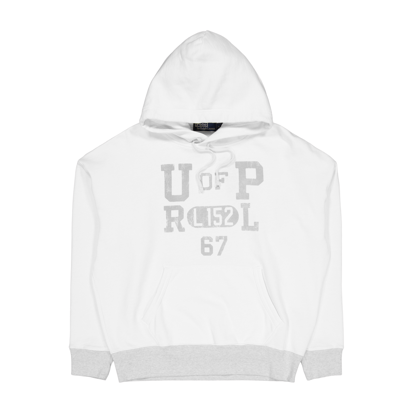 Fleece Graphic Hoodie Nevis / Light Sport Heather