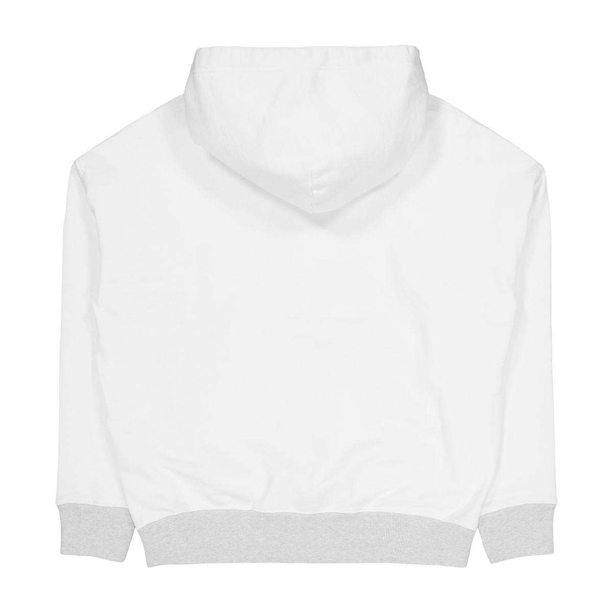 Fleece Graphic Hoodie Nevis / Light Sport Heather