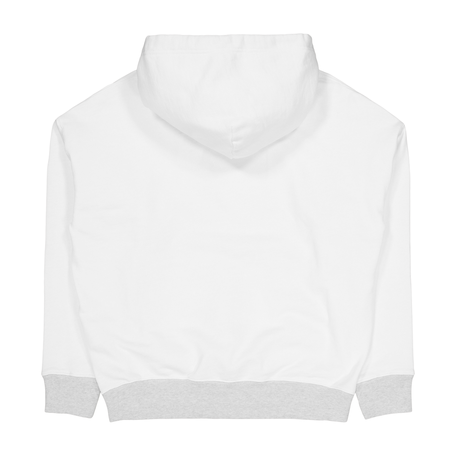 Fleece Graphic Hoodie Nevis / Light Sport Heather