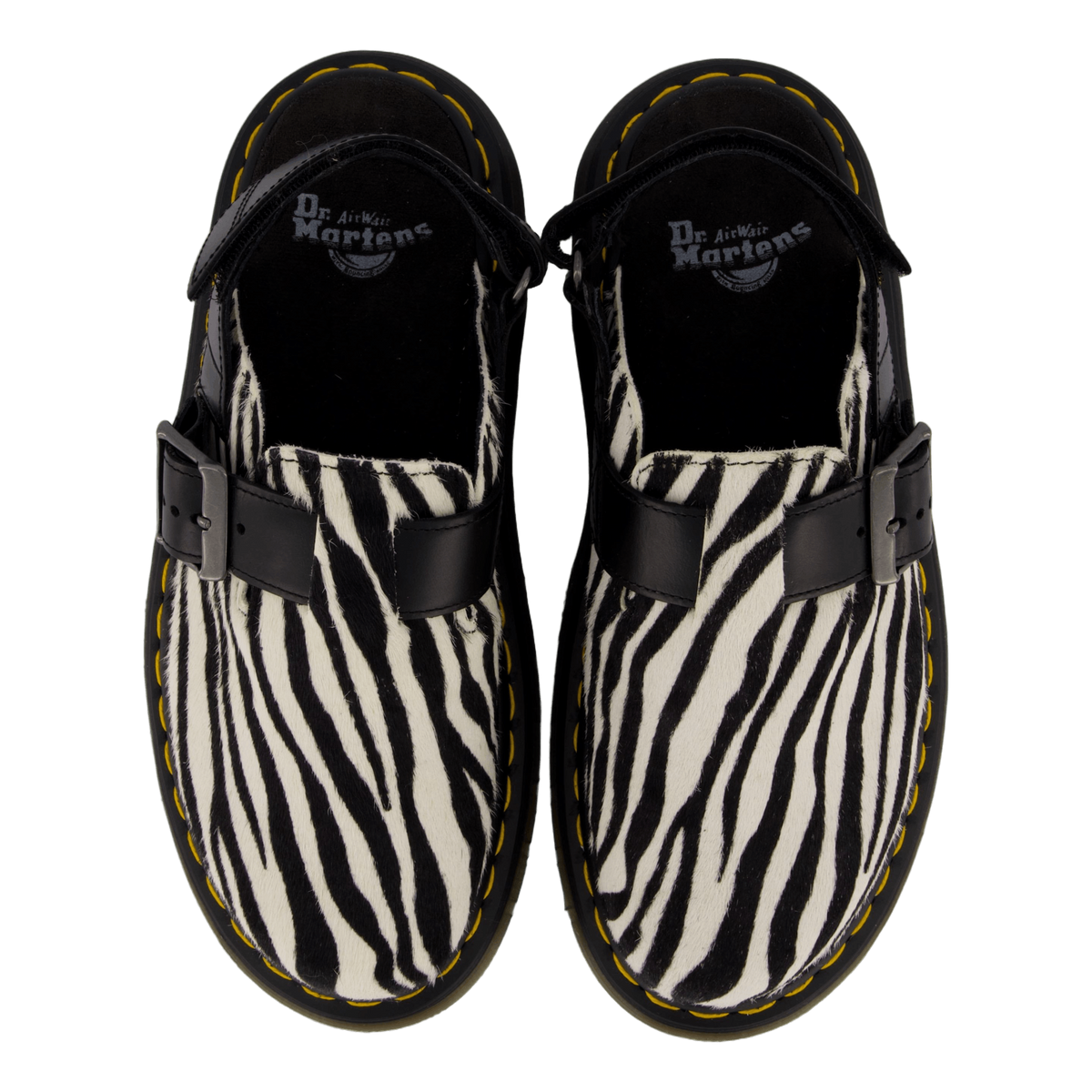 Jorge Ii Zebra/black Hair On/atlas