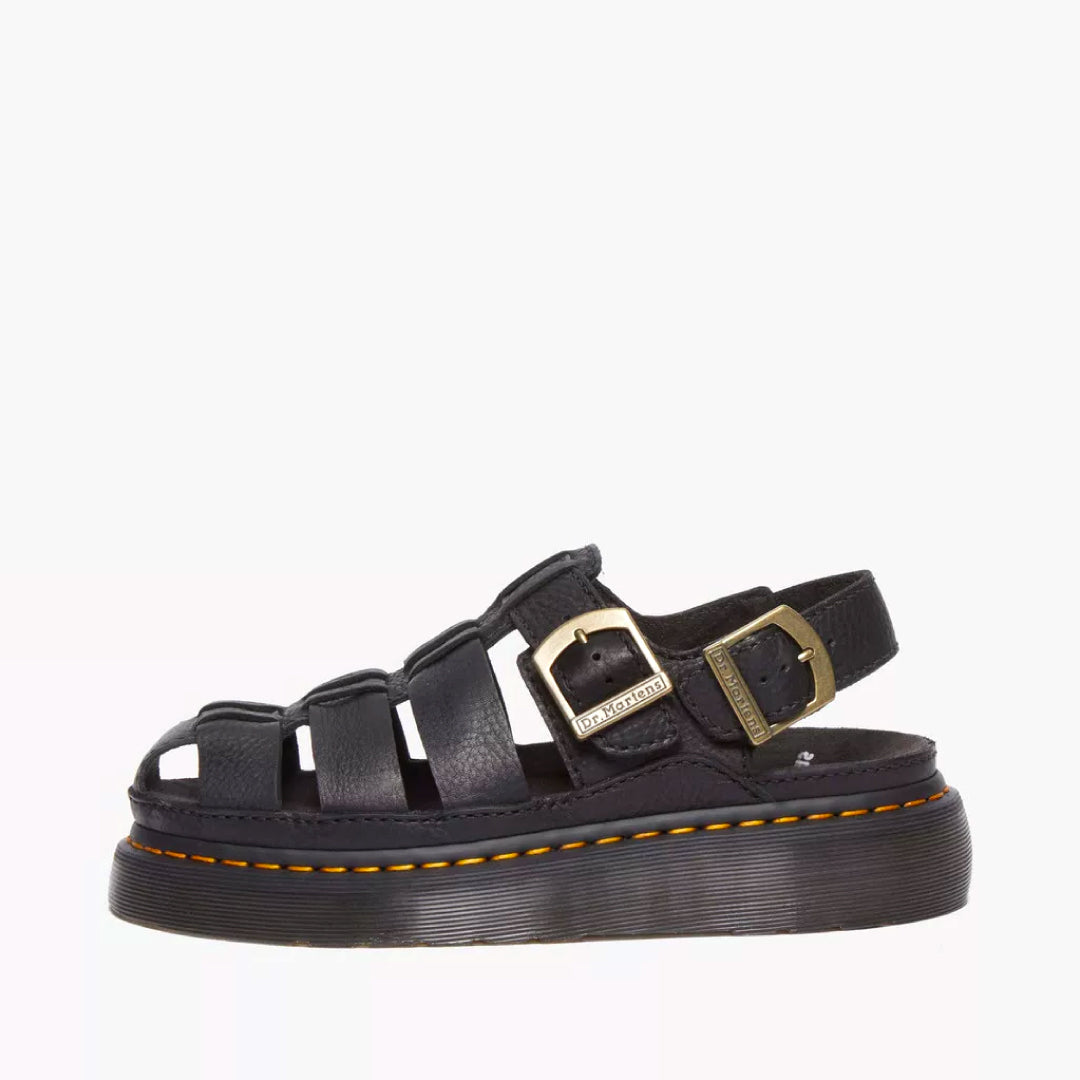 Wrenlie Black Grizzly