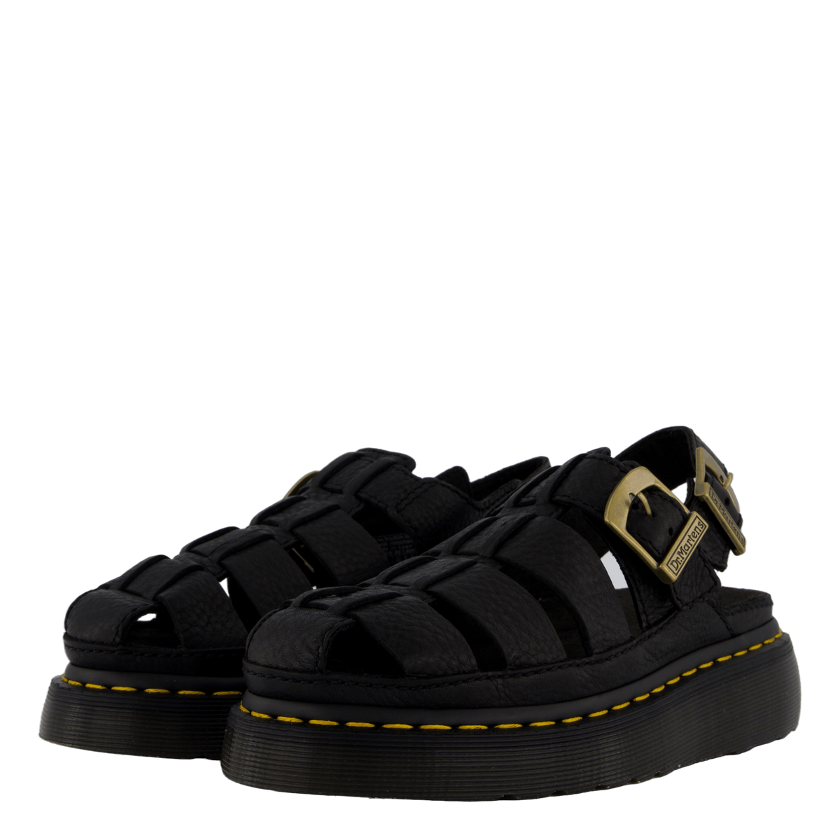 Wrenlie Black Grizzly