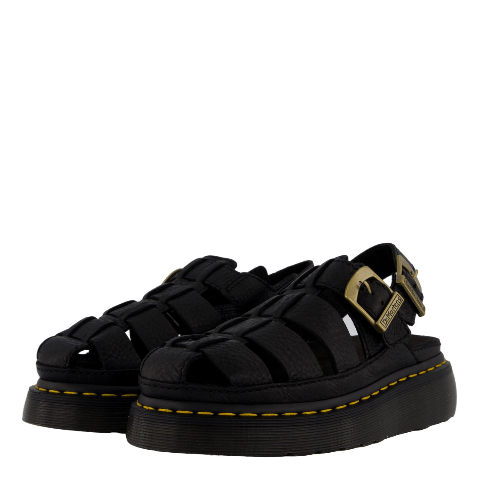 Wrenlie Black Grizzly