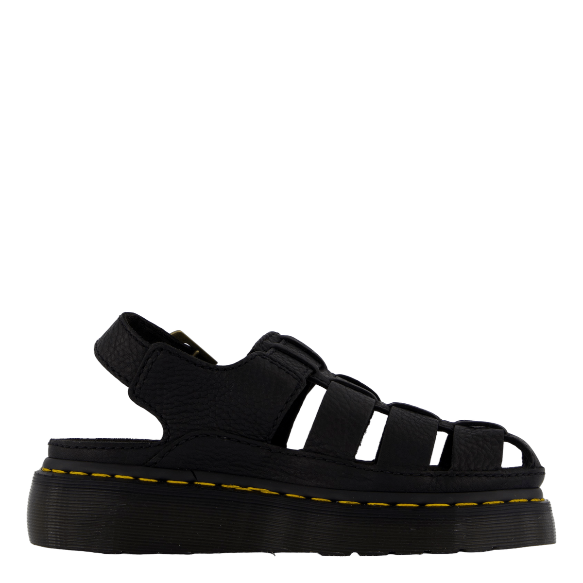 Wrenlie Black Grizzly