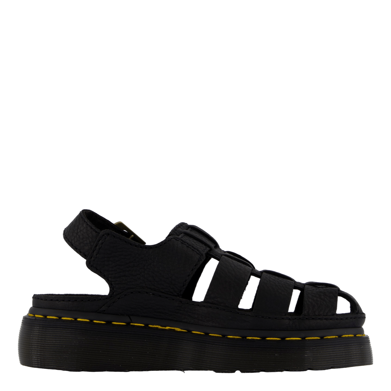 Wrenlie Black Grizzly